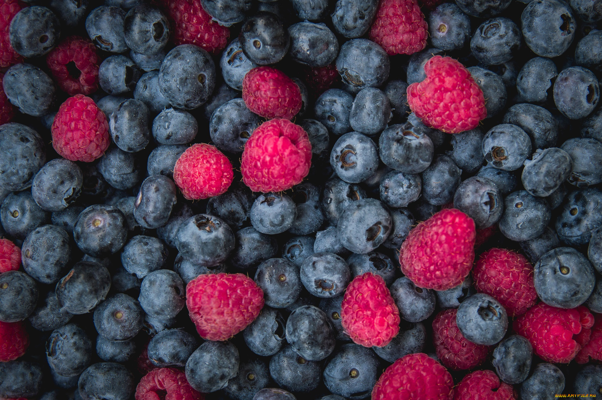 Berry. Малина и голубика. Черника голубика малина. Ягоды малина голубика. Ягоды клубника черника малина.