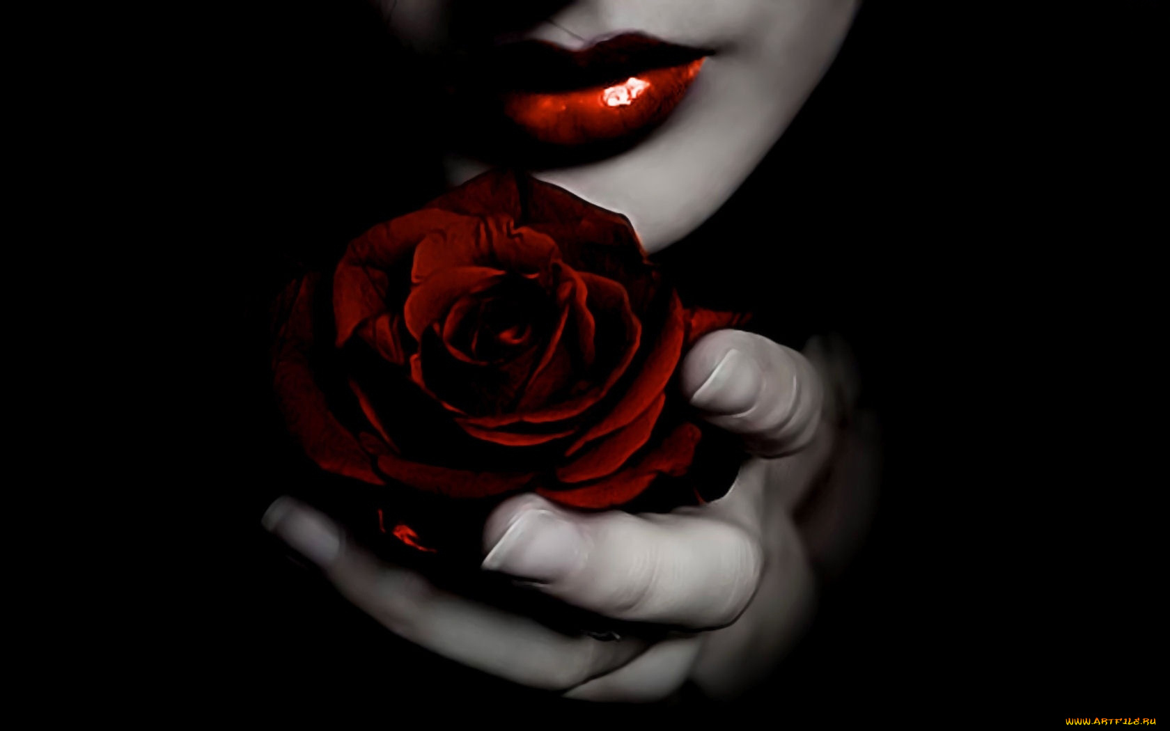 разное, губы, роза, красное, и, черное