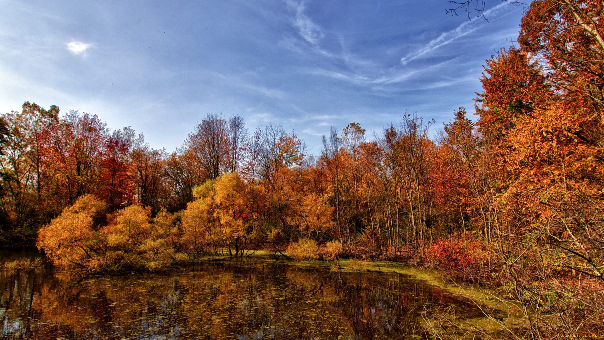 природа, лес, осень, багрянец, пруд