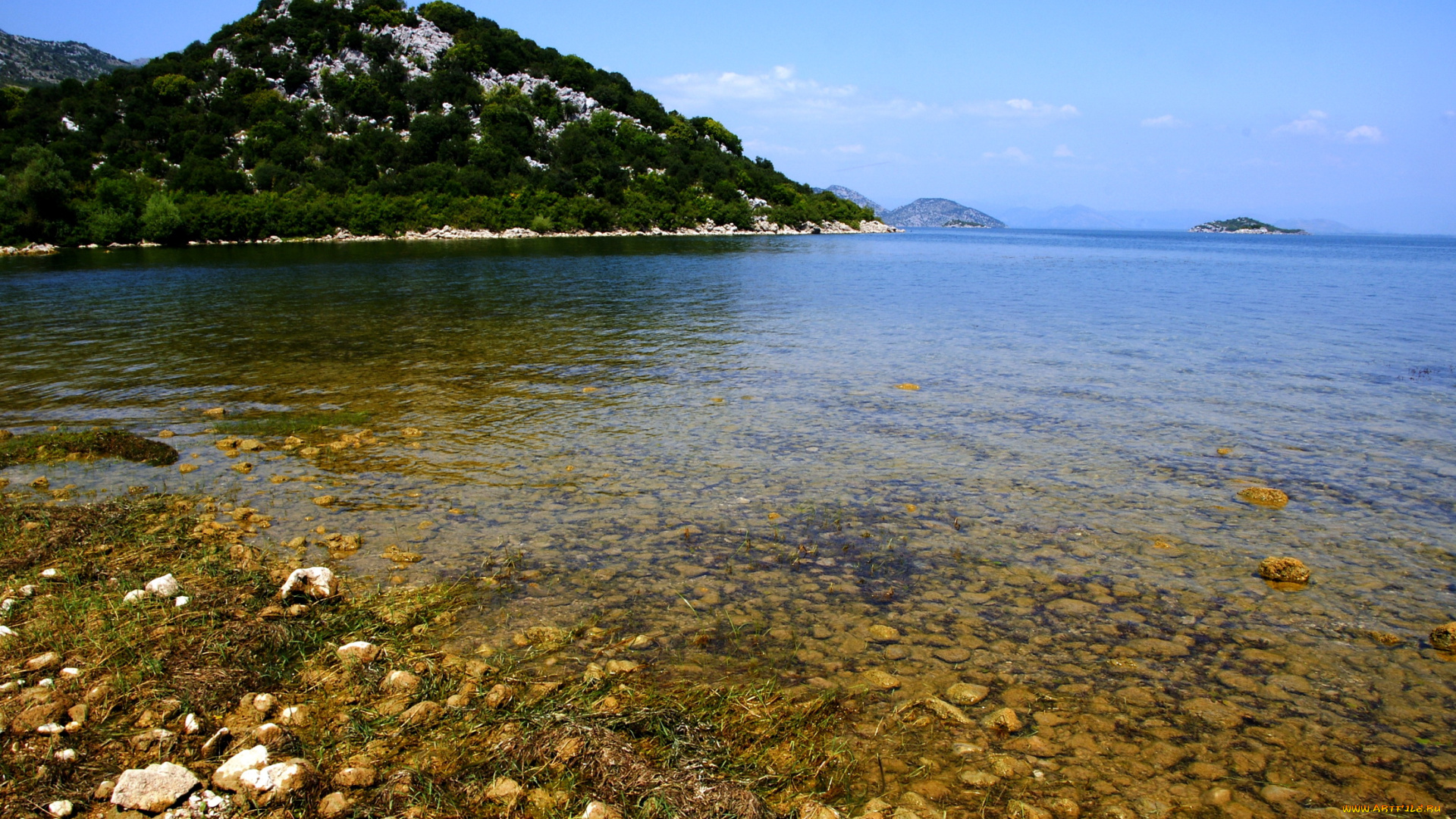 природа, побережье, skadarsko, jezero, Черногория