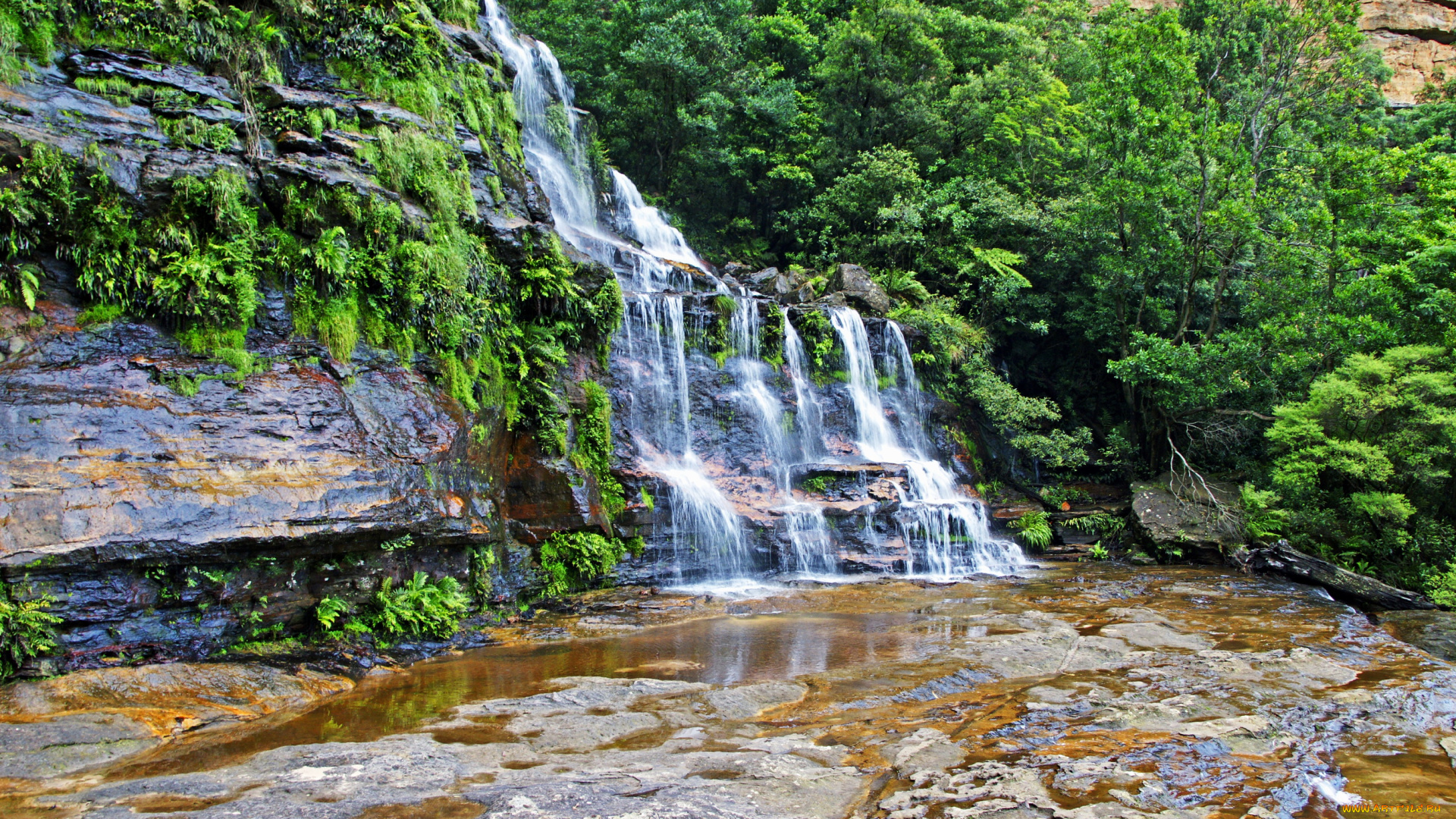 природа, водопады, katoomba, falls, австралия