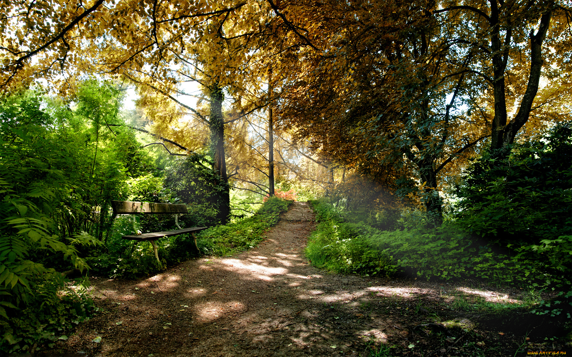 природа, парк, скамейка, деревья, лес