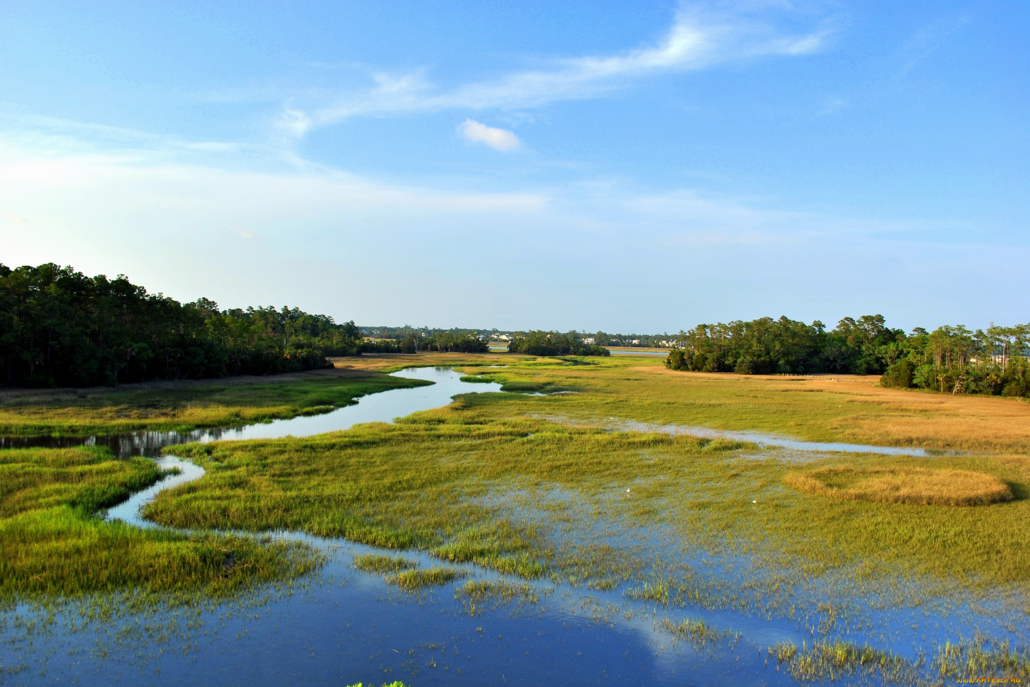 природа, реки, озера, charleston, usa, palmetto, islands, county, park