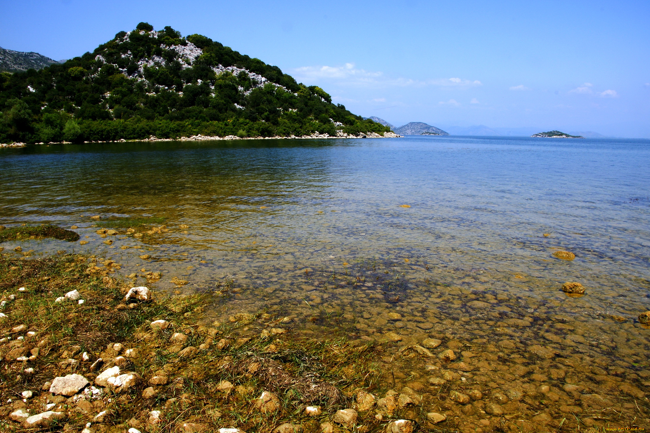 природа, побережье, skadarsko, jezero, Черногория