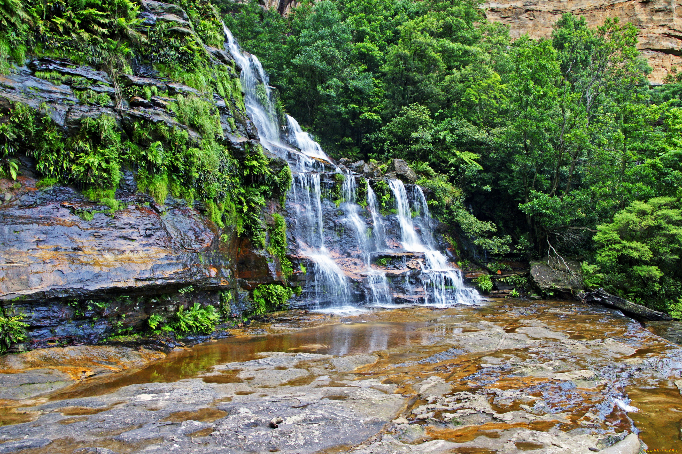 природа, водопады, katoomba, falls, австралия