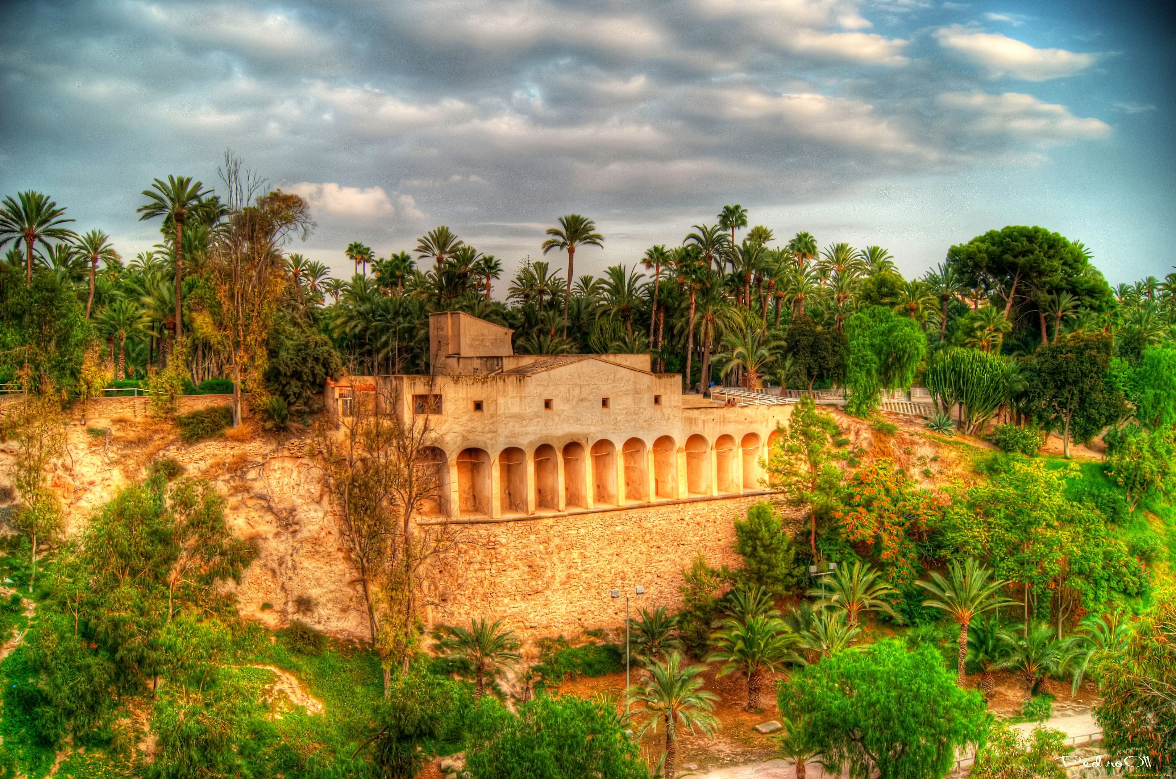 parc, municipal, природа, парк, испания, elche