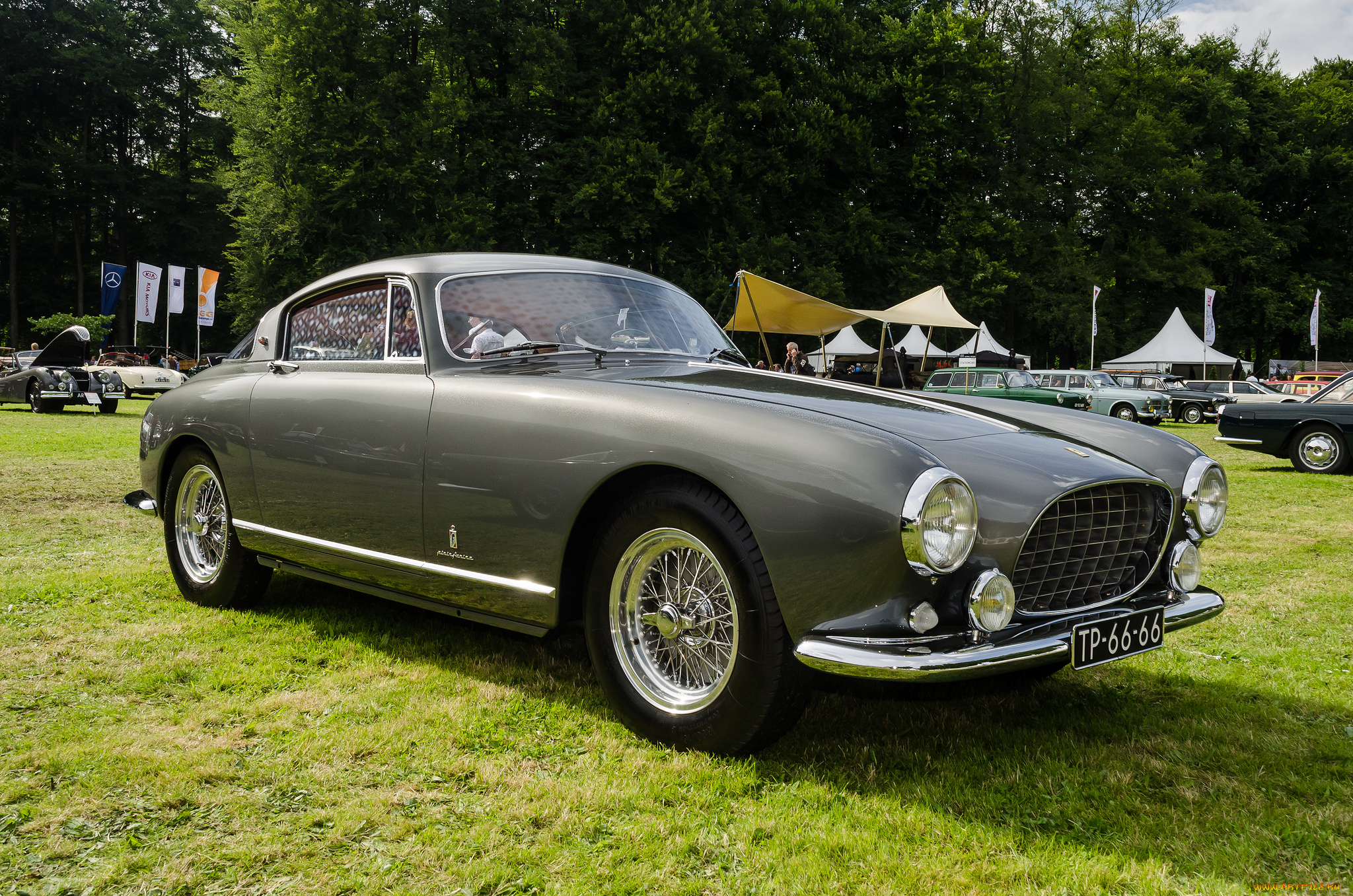 ferrari, 250, europa, gt, coupe, автомобили, выставки, и, уличные, фото, выставка, автошоу, ретро, история