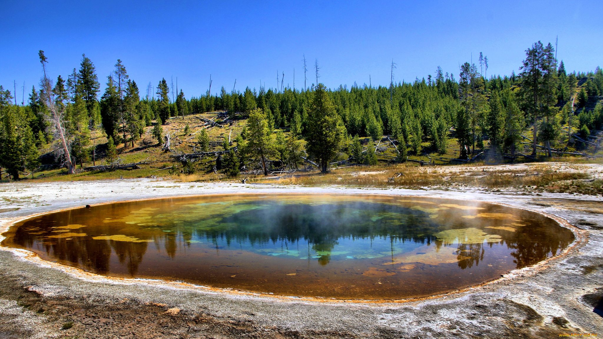 beauty, pool, , yellowstone, national, park, , wyoming, природа, стихия, гейзер, каверна, лес