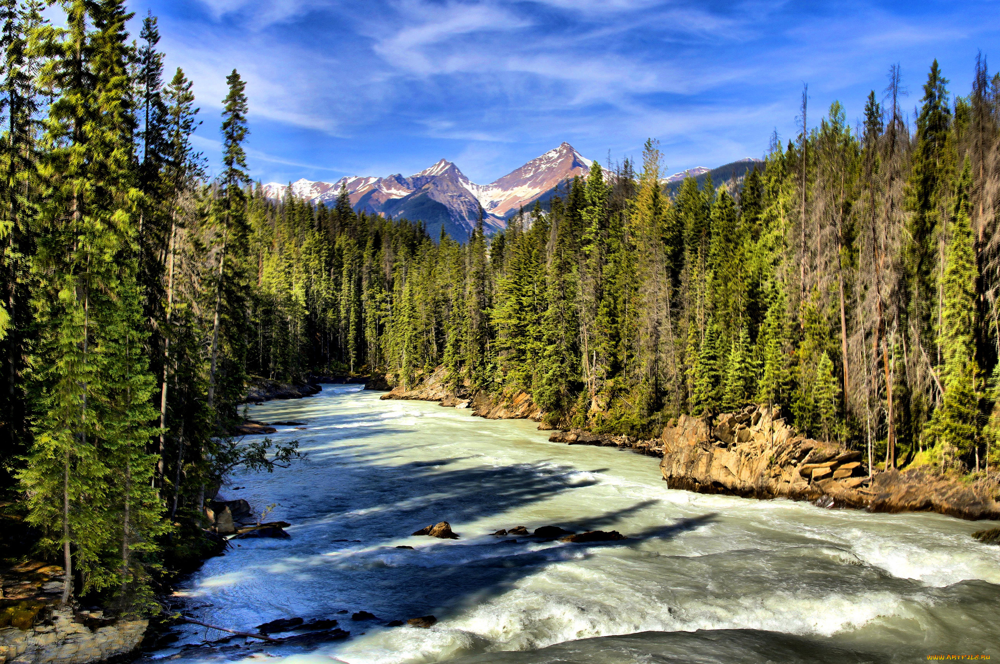 kicking, horse, river, природа, реки, озера, горы, река, лес