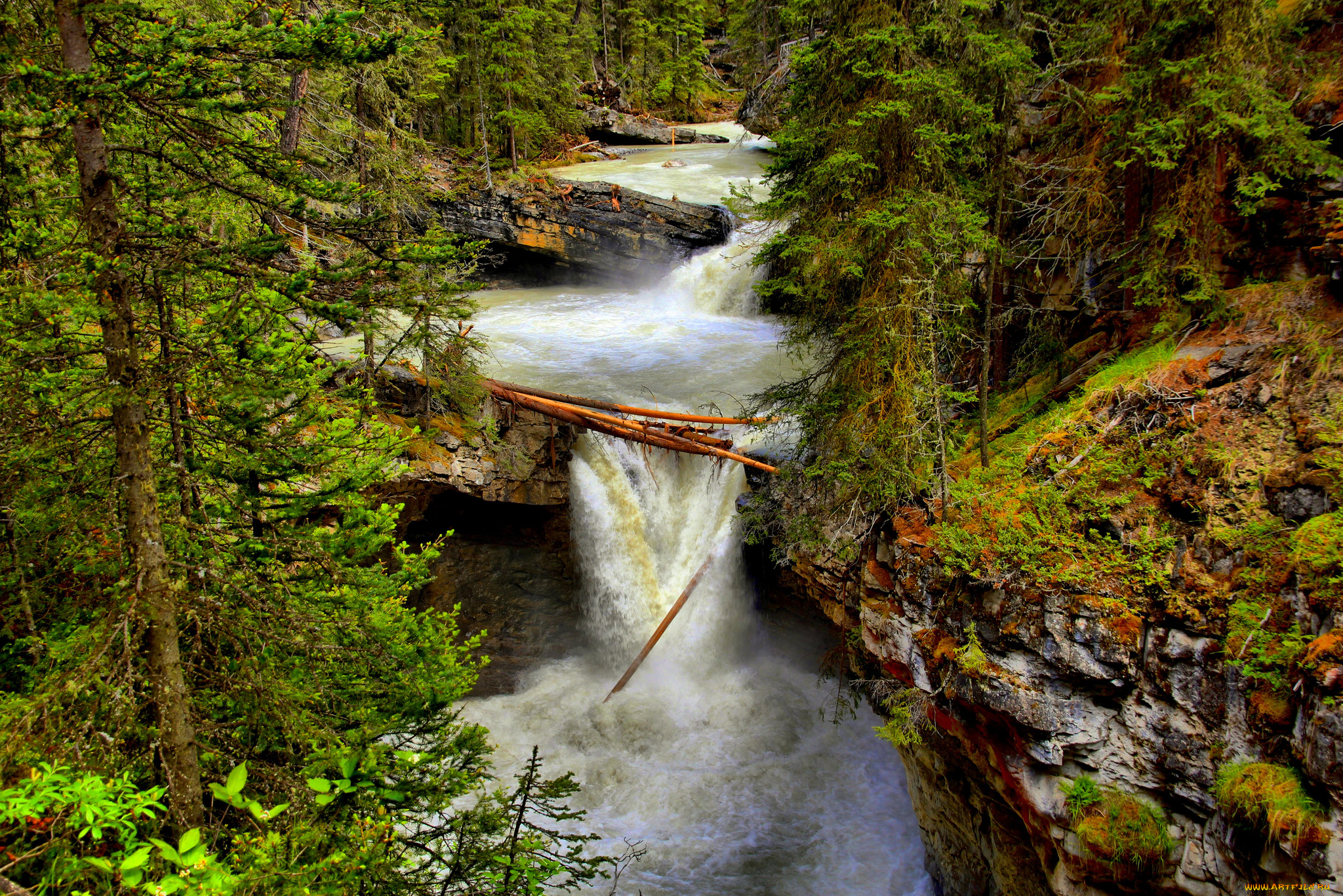 природа, водопады, водопад, река, лес