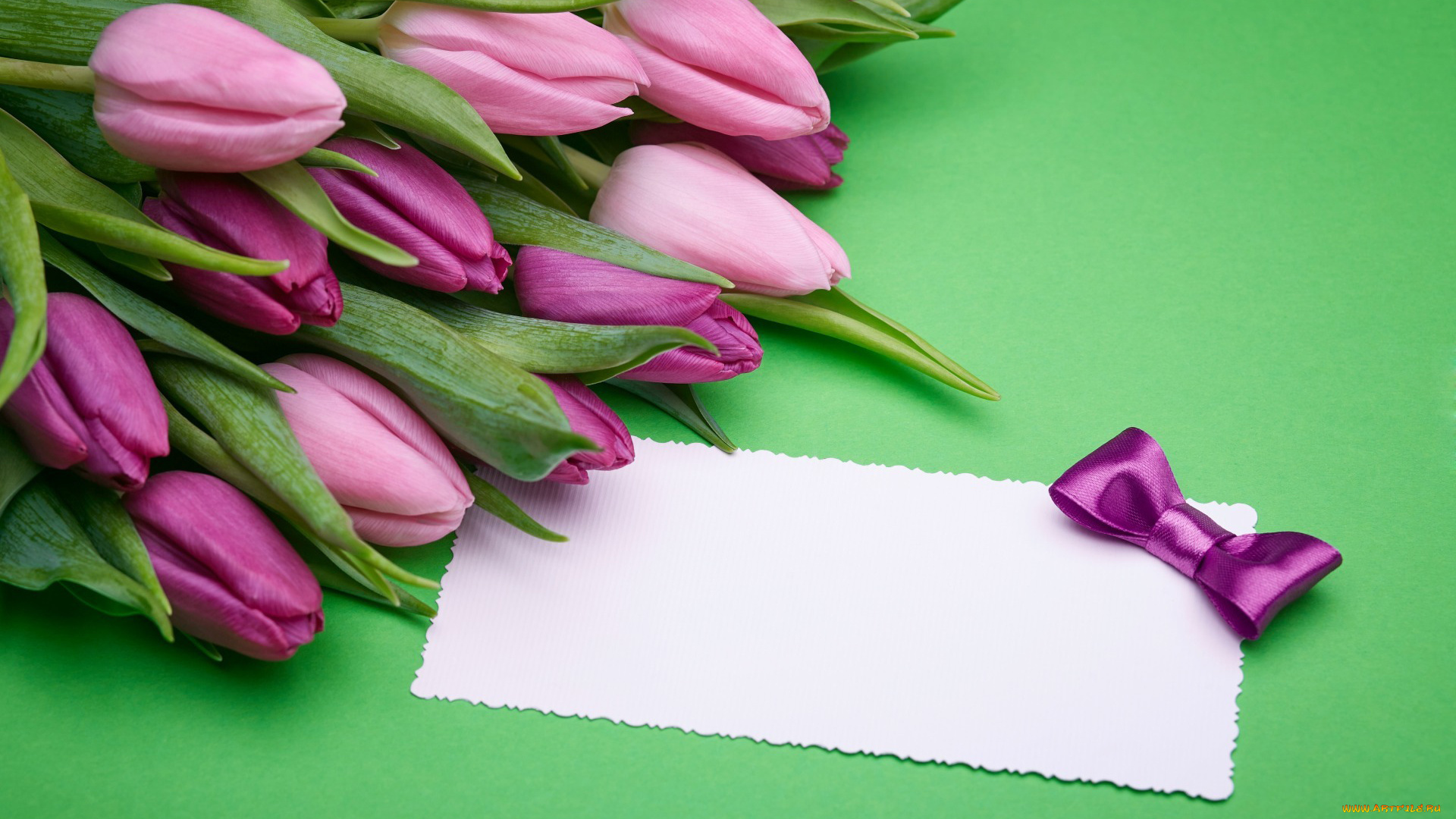 цветы, тюльпаны, лиловый, бутоны, бант, записка, бумага