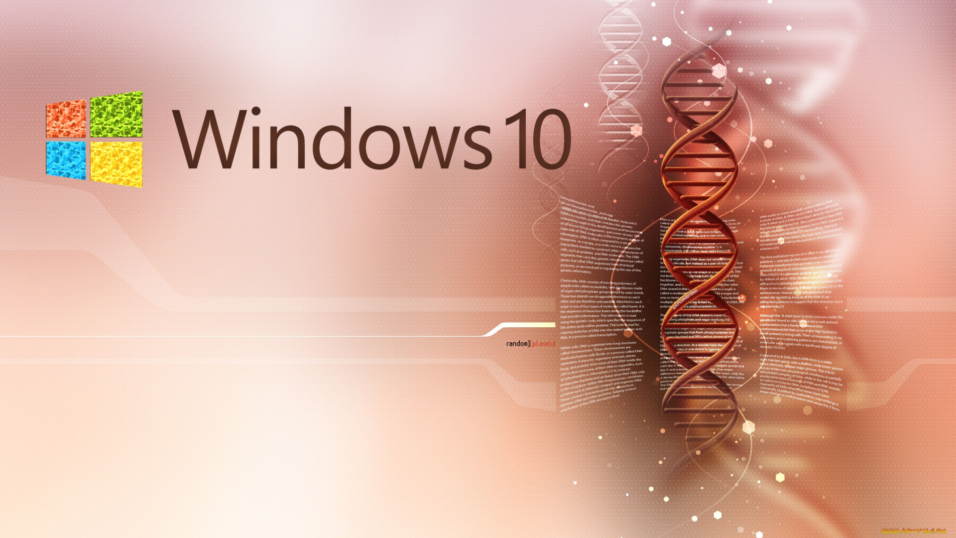 windows, 10, компьютеры, windows, , 10, windows