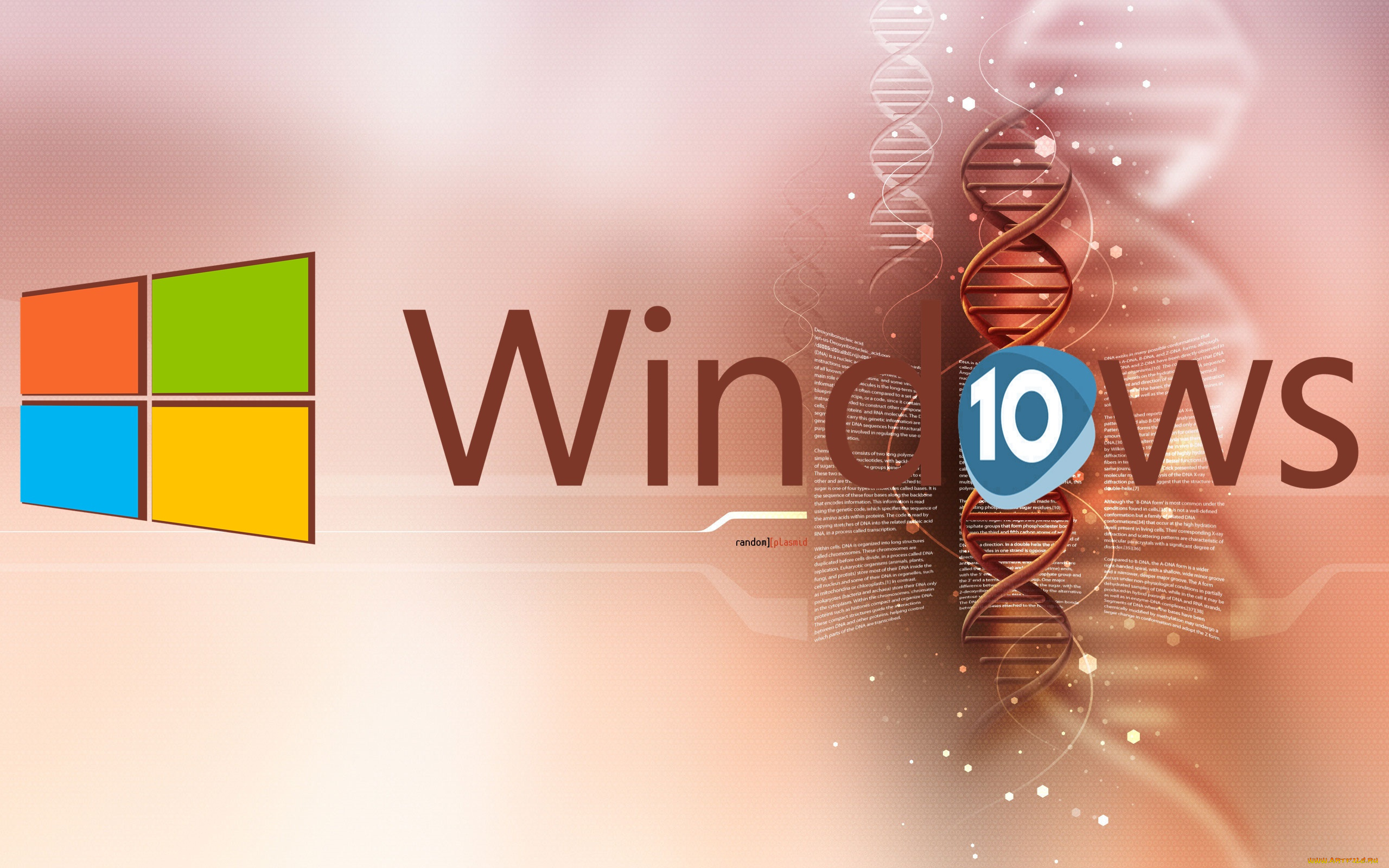 windows, 10, компьютеры, windows, , 10, windows