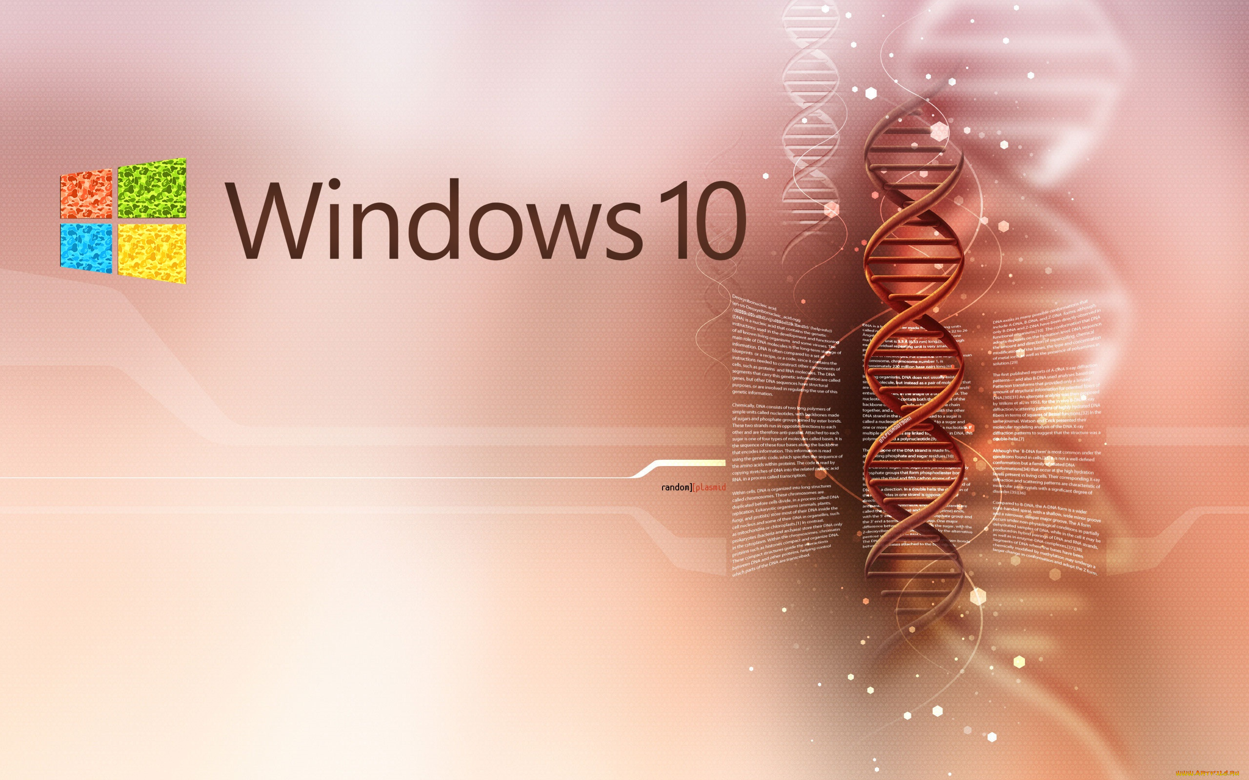 windows, 10, компьютеры, windows, , 10, windows