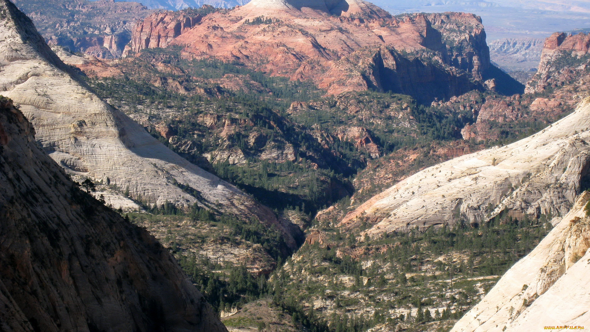 природа, горы, utah, usa, river, canyon, zion