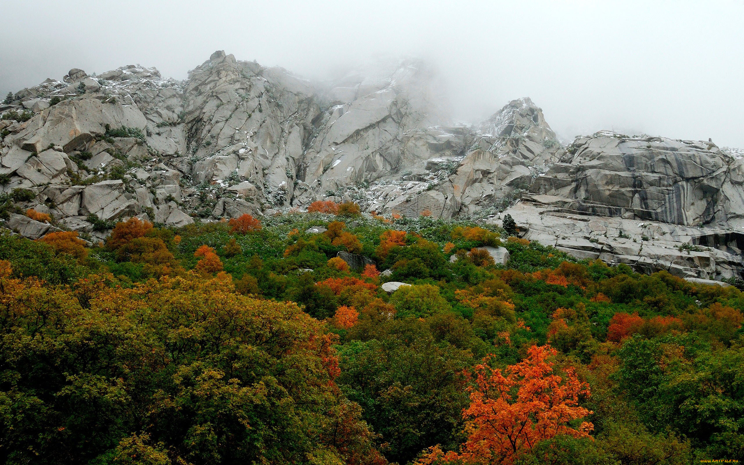 природа, горы, деревья, осень, туман