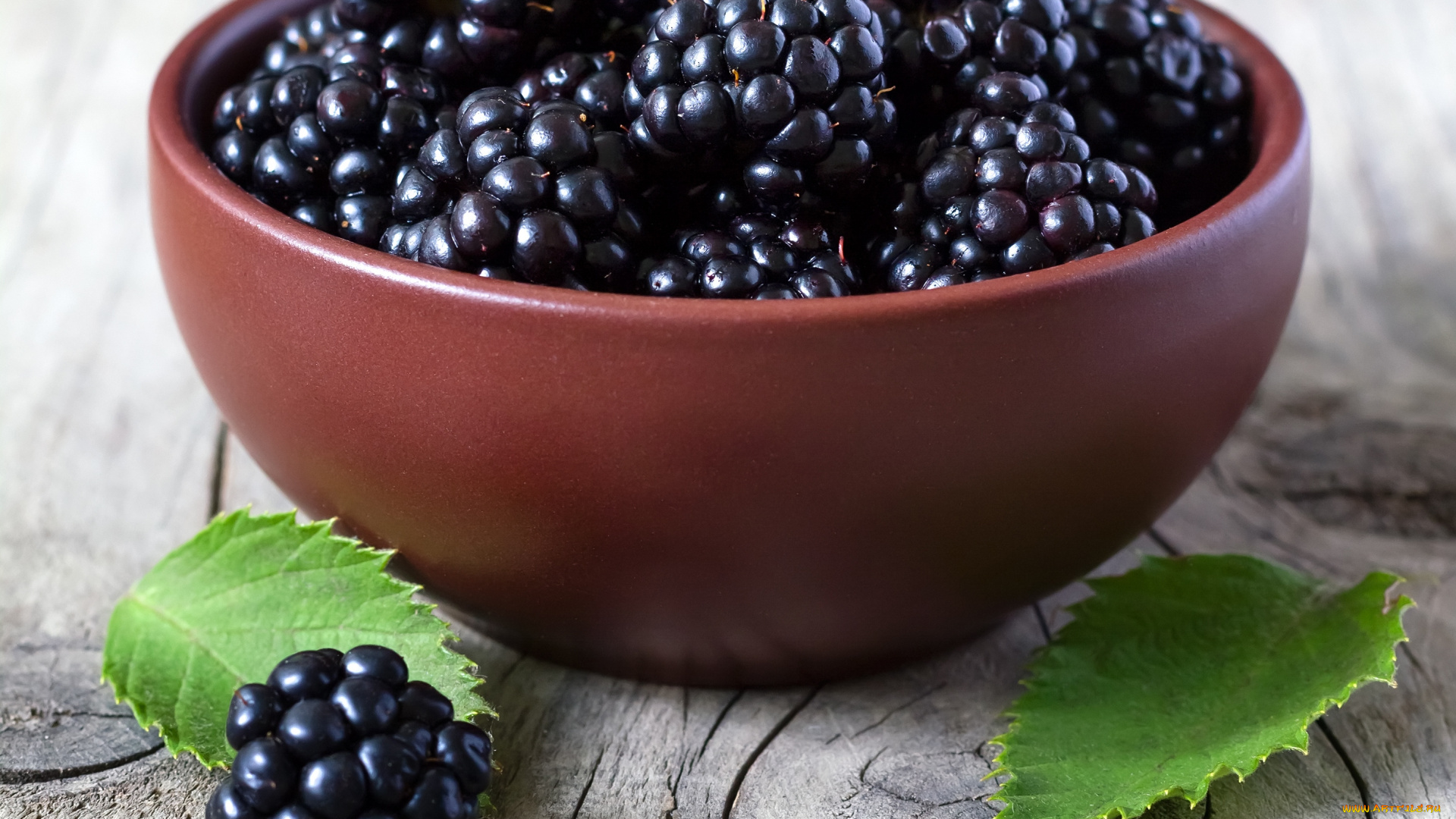 еда, ежевика, листики, ежевики, bowl, свежие, ягоды, leaves, blackberries, fresh, berries, миска