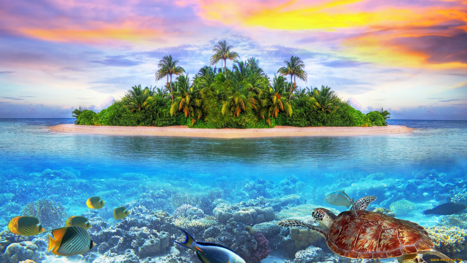 maldives, природа, тропики, indian, ocean, arabian, sea, мальдивы, индийский, океан, аравийское, море, остров, морское, дно, рыбы, черепаха, кораллы, закат