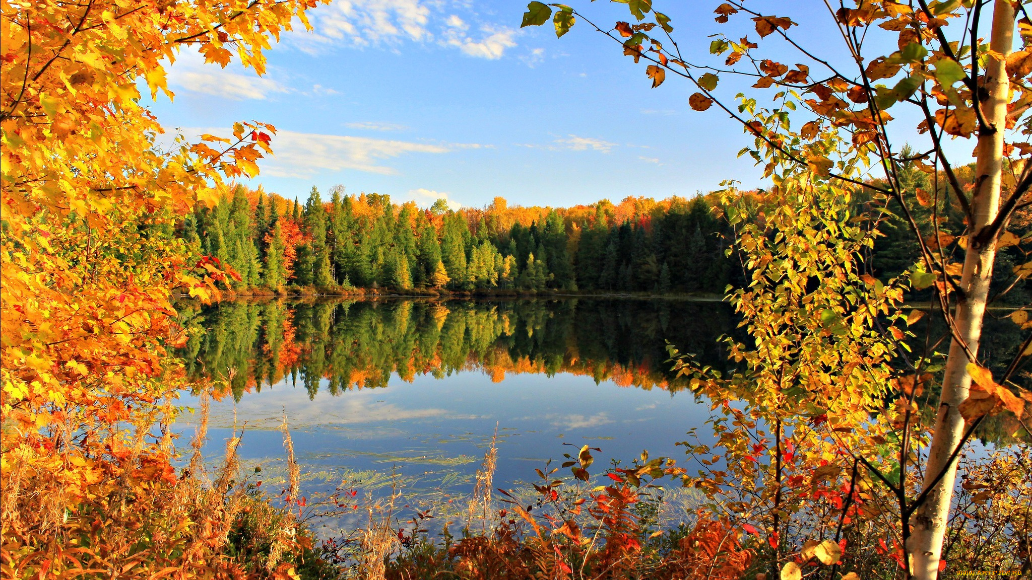 природа, реки, озера, деревья, озеро, golden, autumn, пруд, золотая, осень, небо, сентябрь, листья, облака