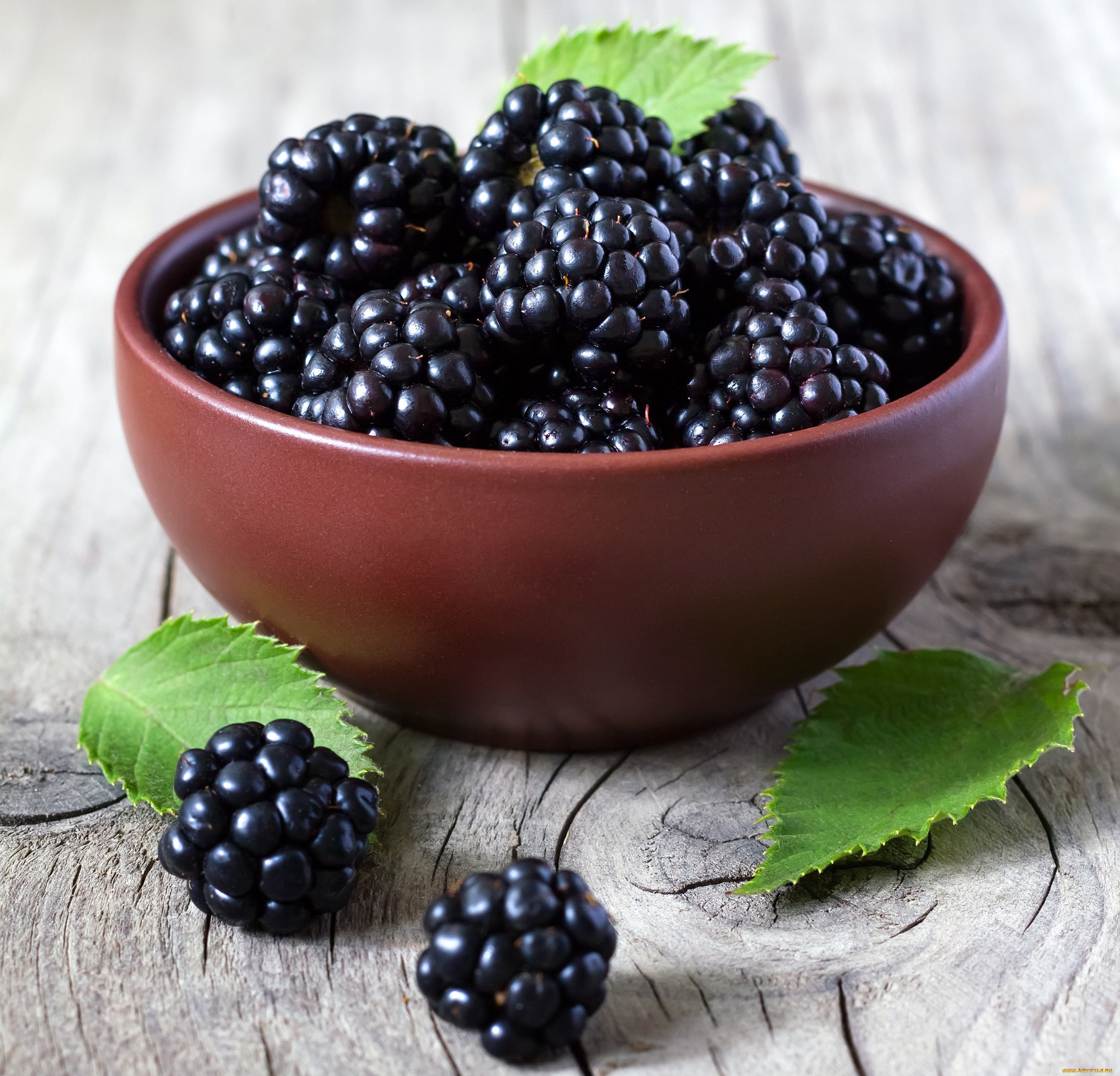 еда, ежевика, листики, ежевики, bowl, свежие, ягоды, leaves, blackberries, fresh, berries, миска