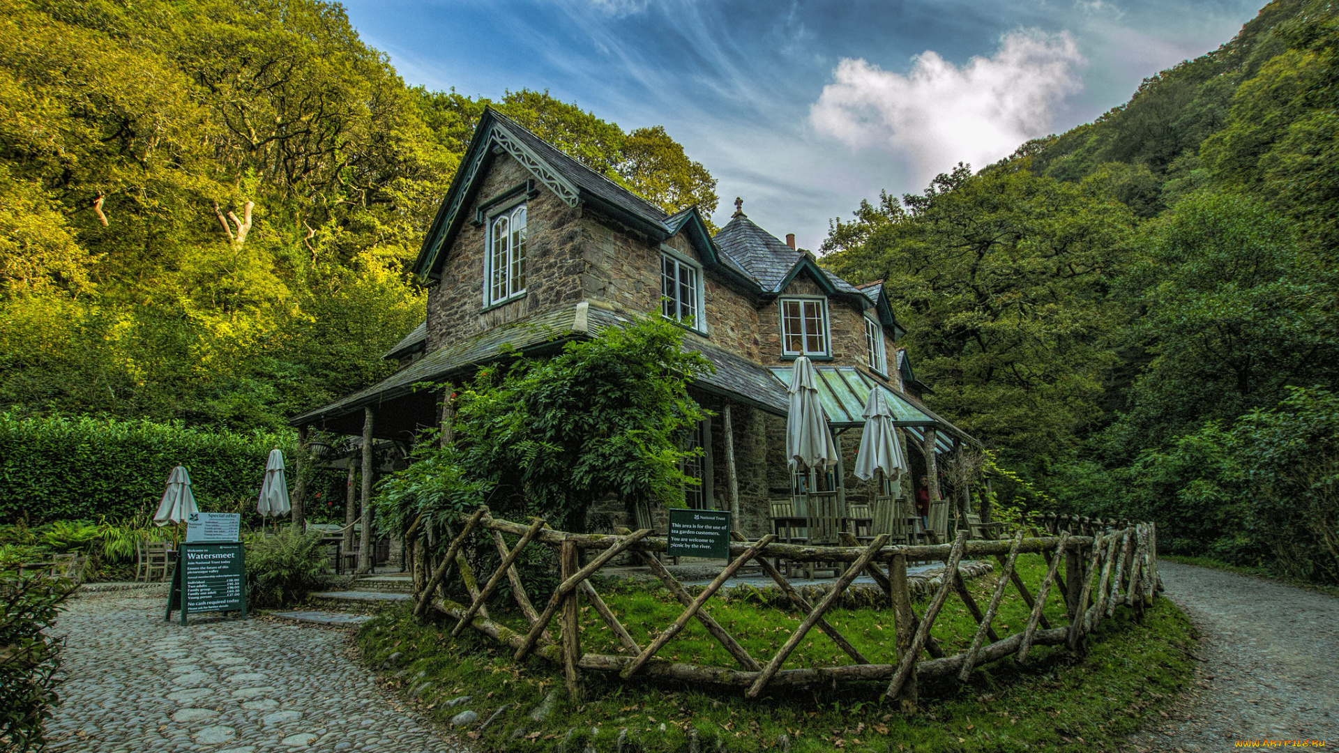 cafe, in, the, woods, города, -, здания, , дома, дом, кафе