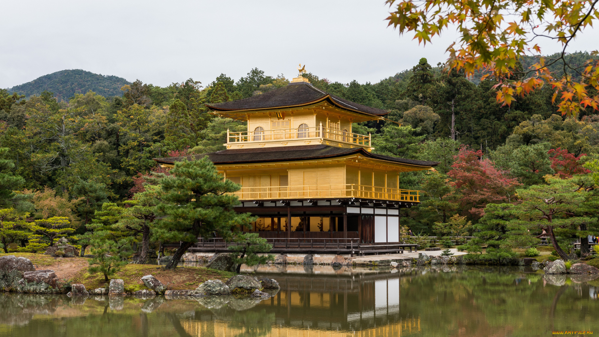 kinkaku-ji, temple, города, -, буддийские, и, другие, храмы, парк, пруд, храм