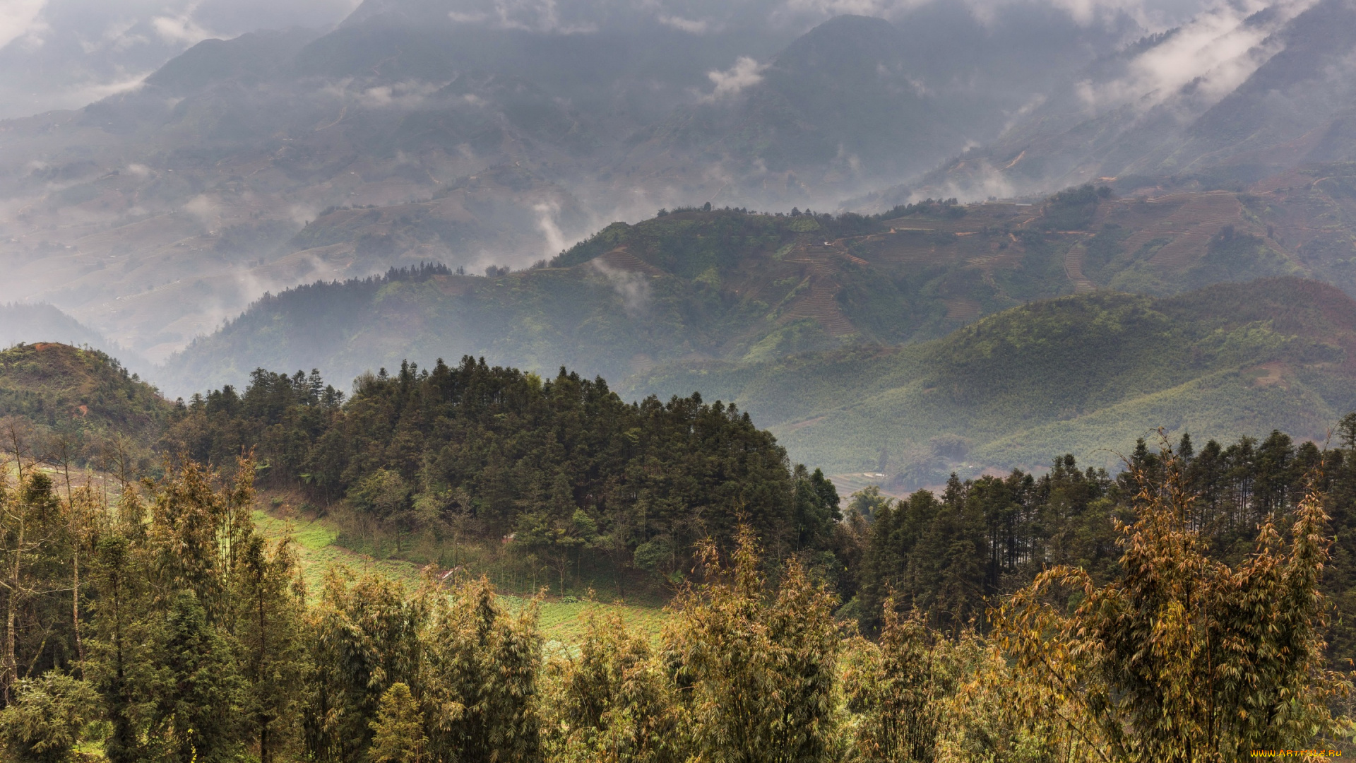 природа, горы, вьетнам, панорама, поля, туман, деревья, лес, sa, pa, плантации