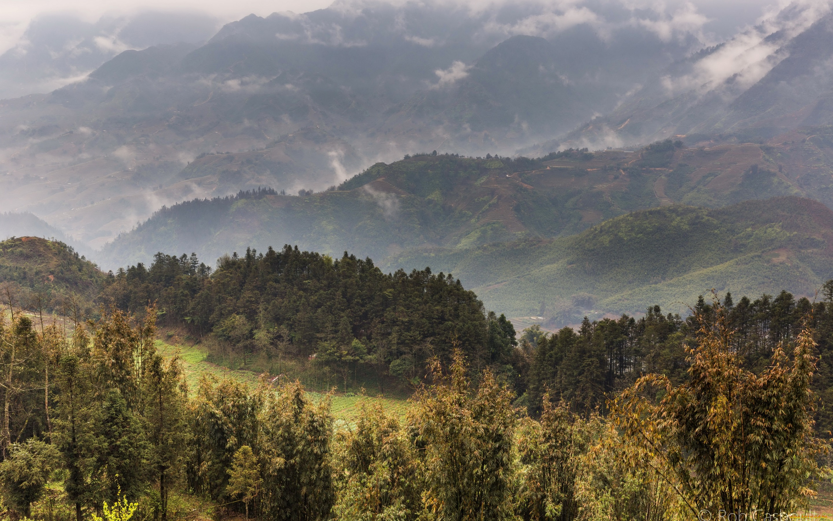 природа, горы, вьетнам, панорама, поля, туман, деревья, лес, sa, pa, плантации