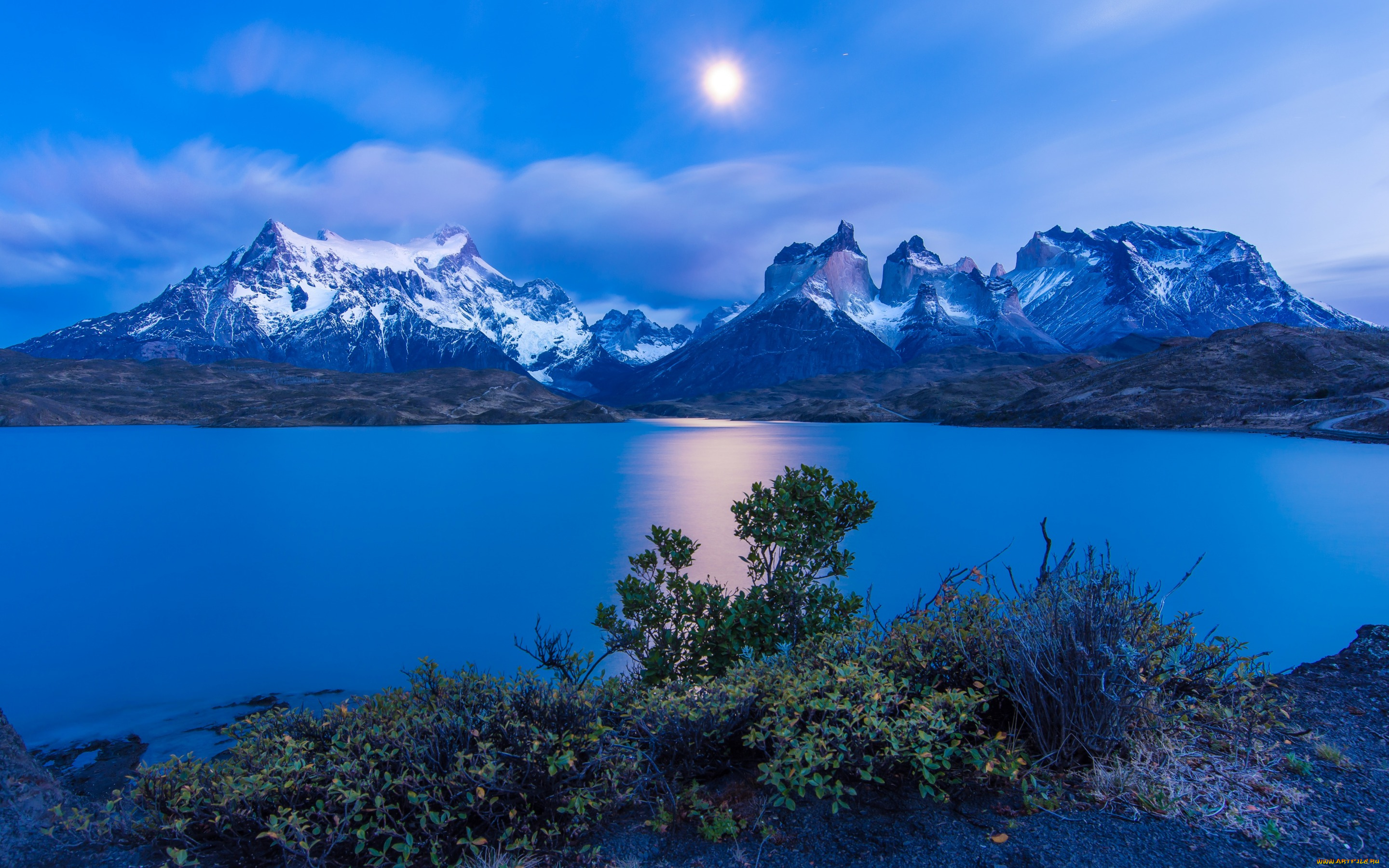 природа, реки, озера, Чили, кусты, озеро, снежные, вершины, torres, del, paine, горы