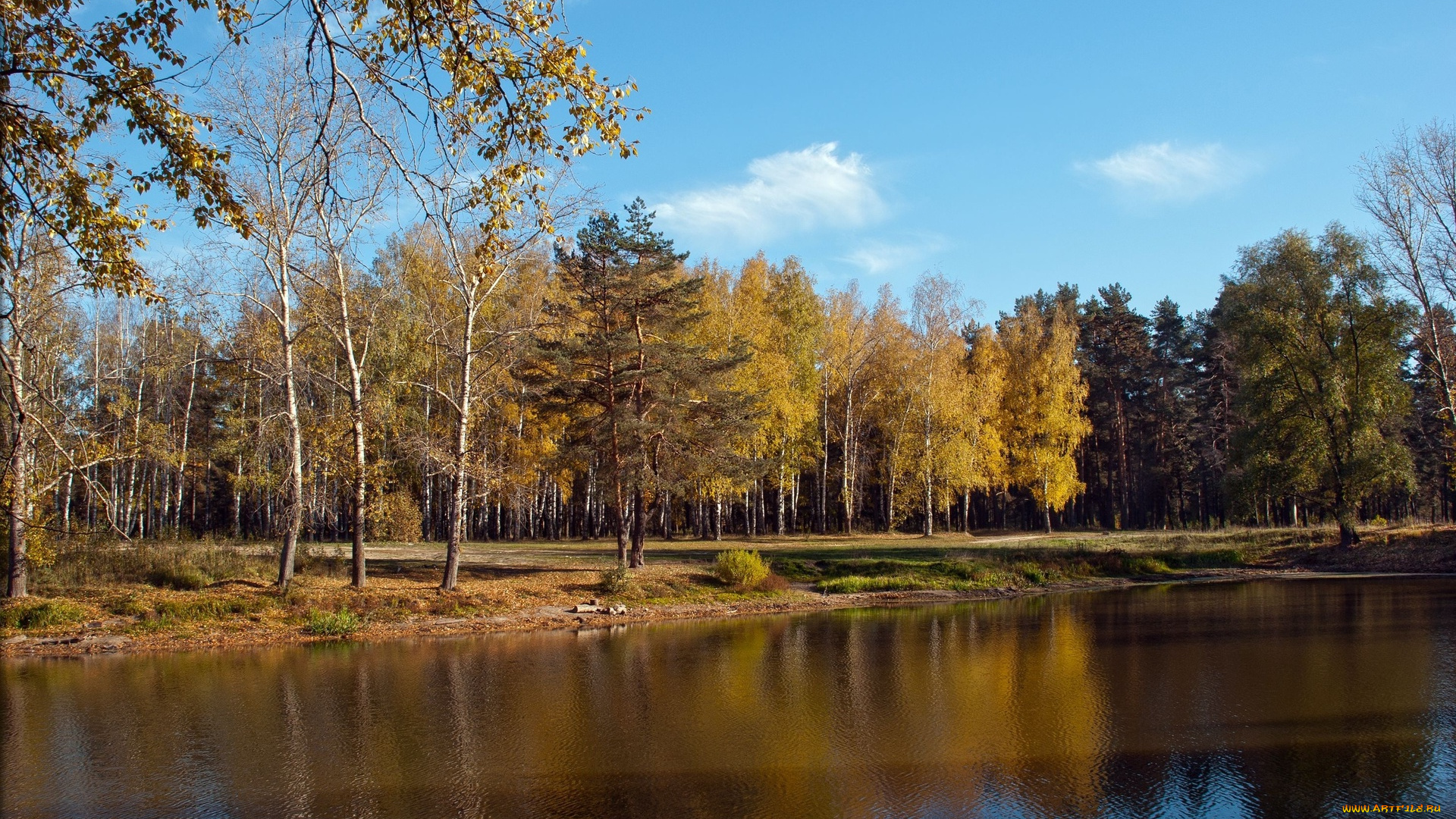 природа, реки, озера, лес, озеро