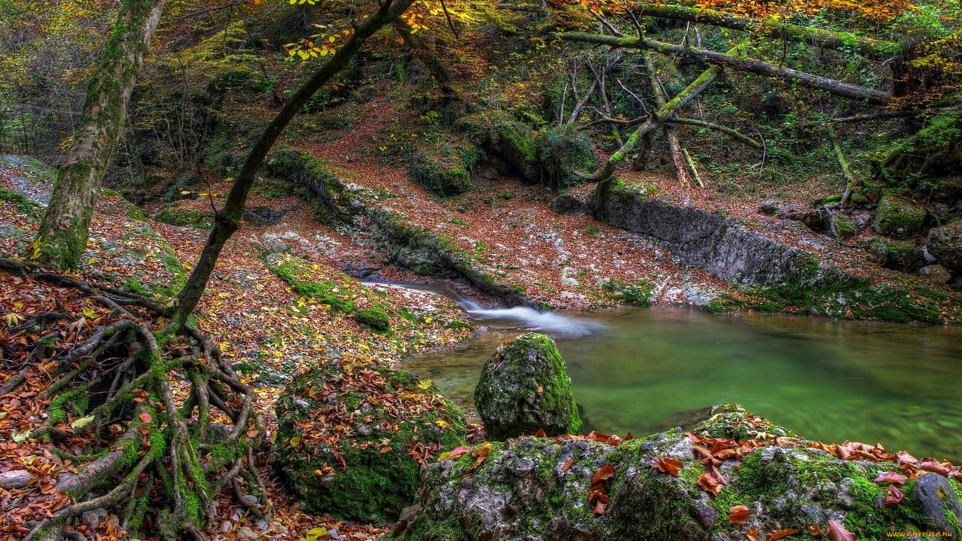 природа, реки, озера, листья, лес, камни, ручей, деревья, осень
