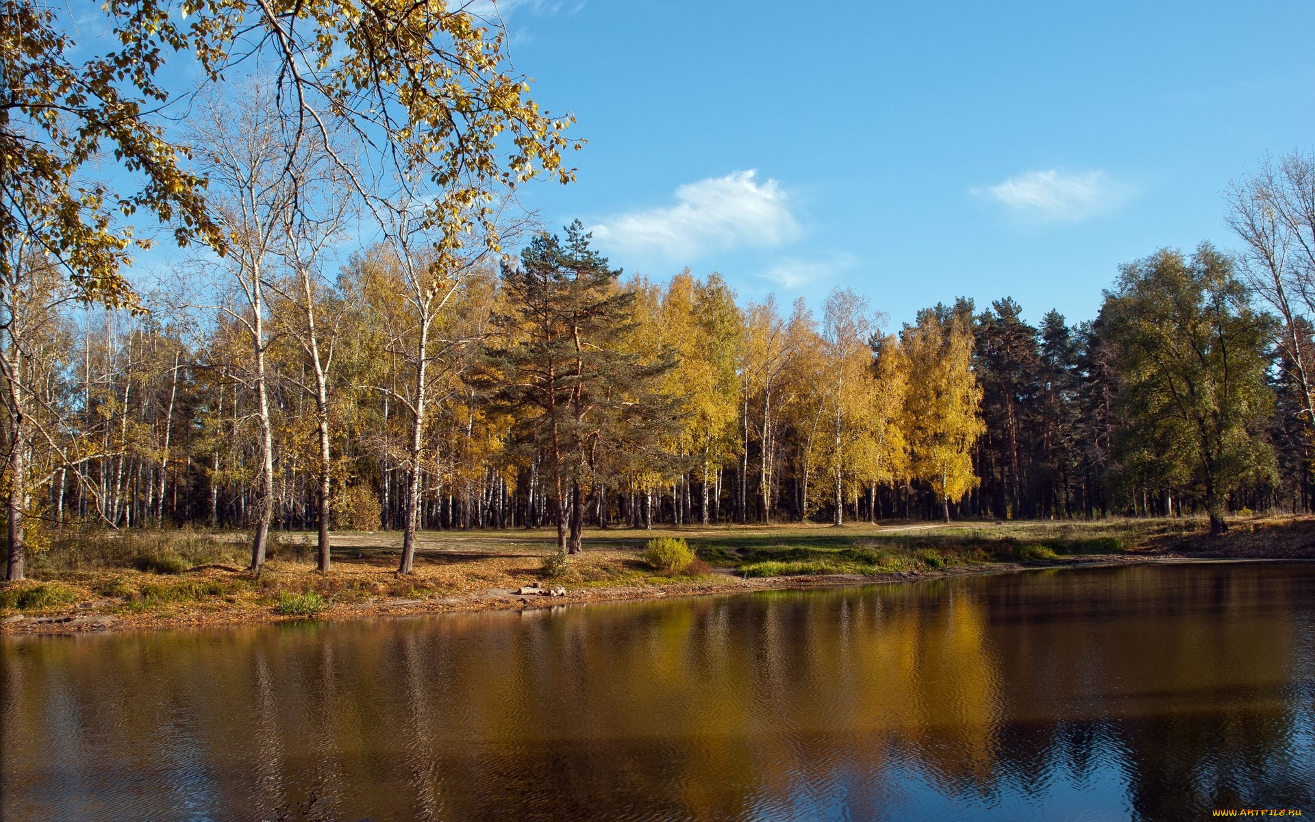 природа, реки, озера, лес, озеро