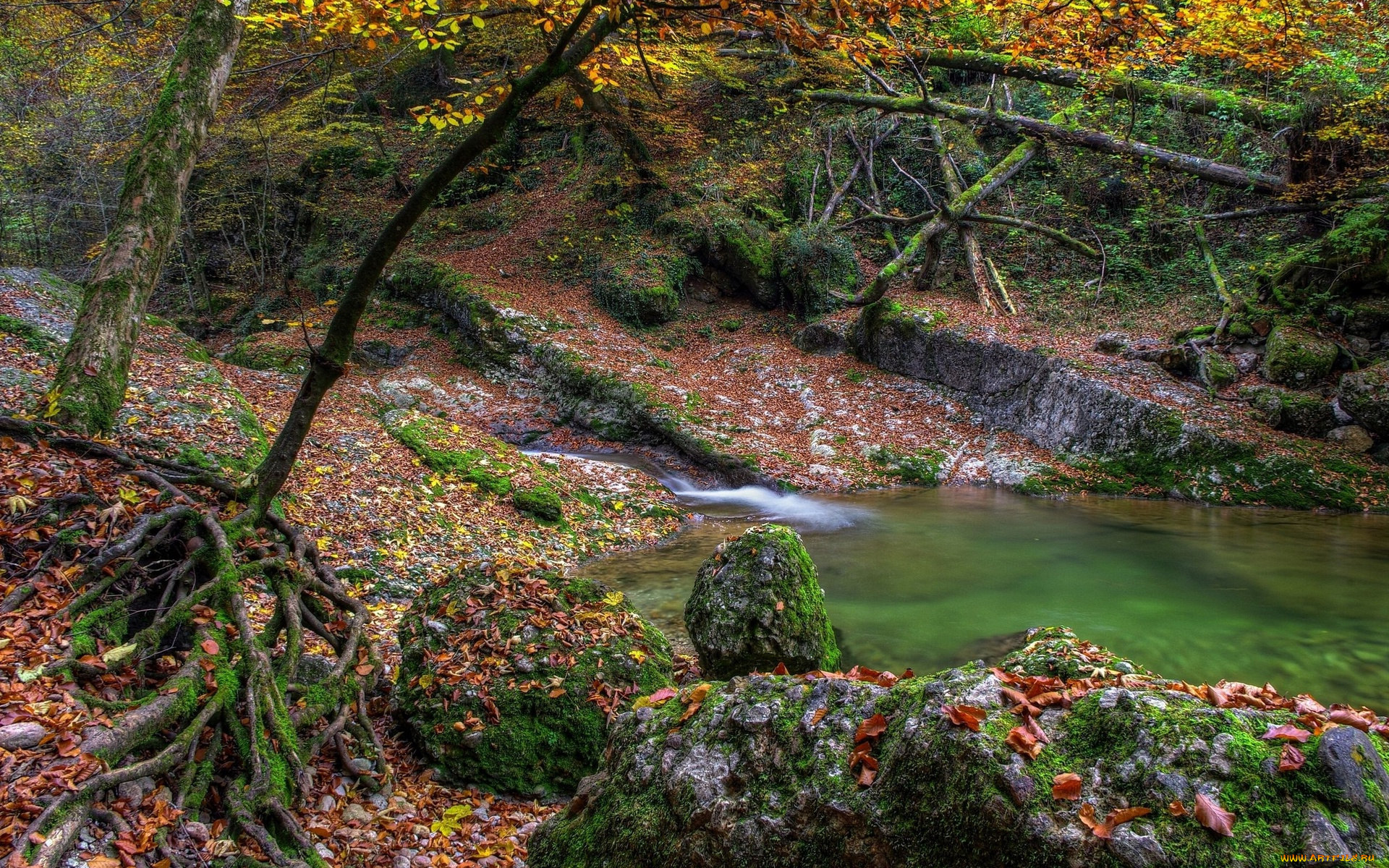 природа, реки, озера, листья, лес, камни, ручей, деревья, осень