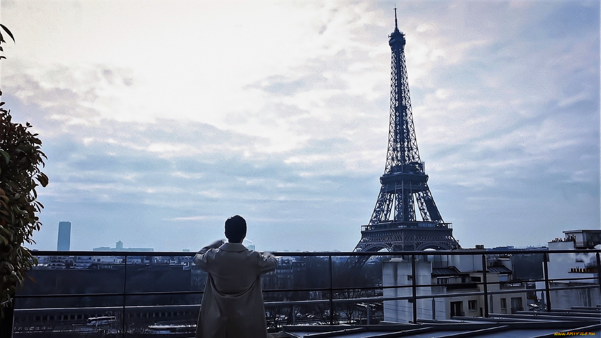 мужчины, xiao, zhan, актер, пальто, панорама, эйфелева, башня, париж