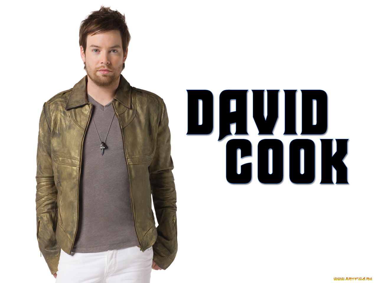 мужчины, david, cook