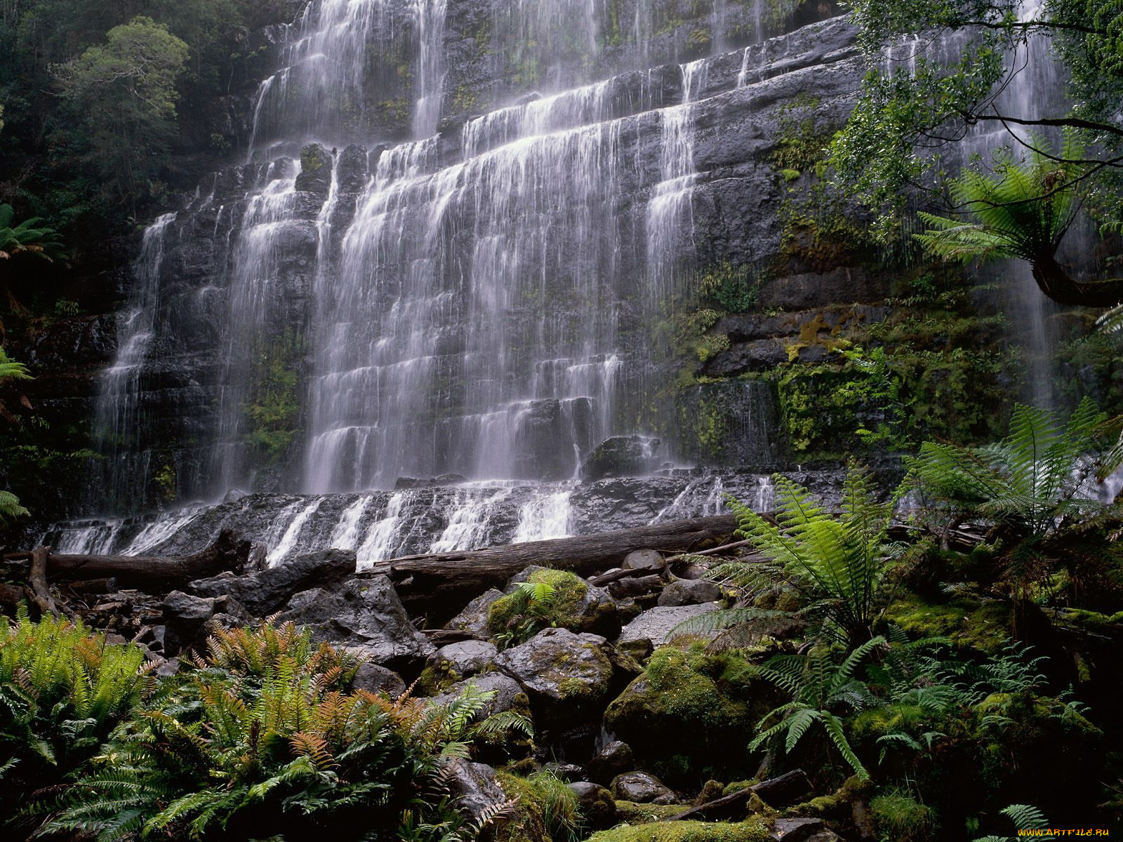 австралия, природа, водопады, потоки, воды, камни, зелень
