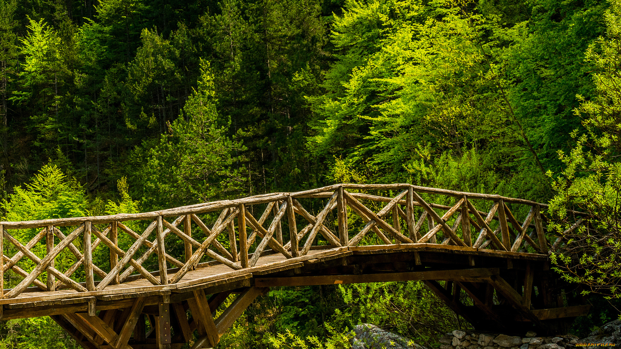 река мост лес арки бесплатно