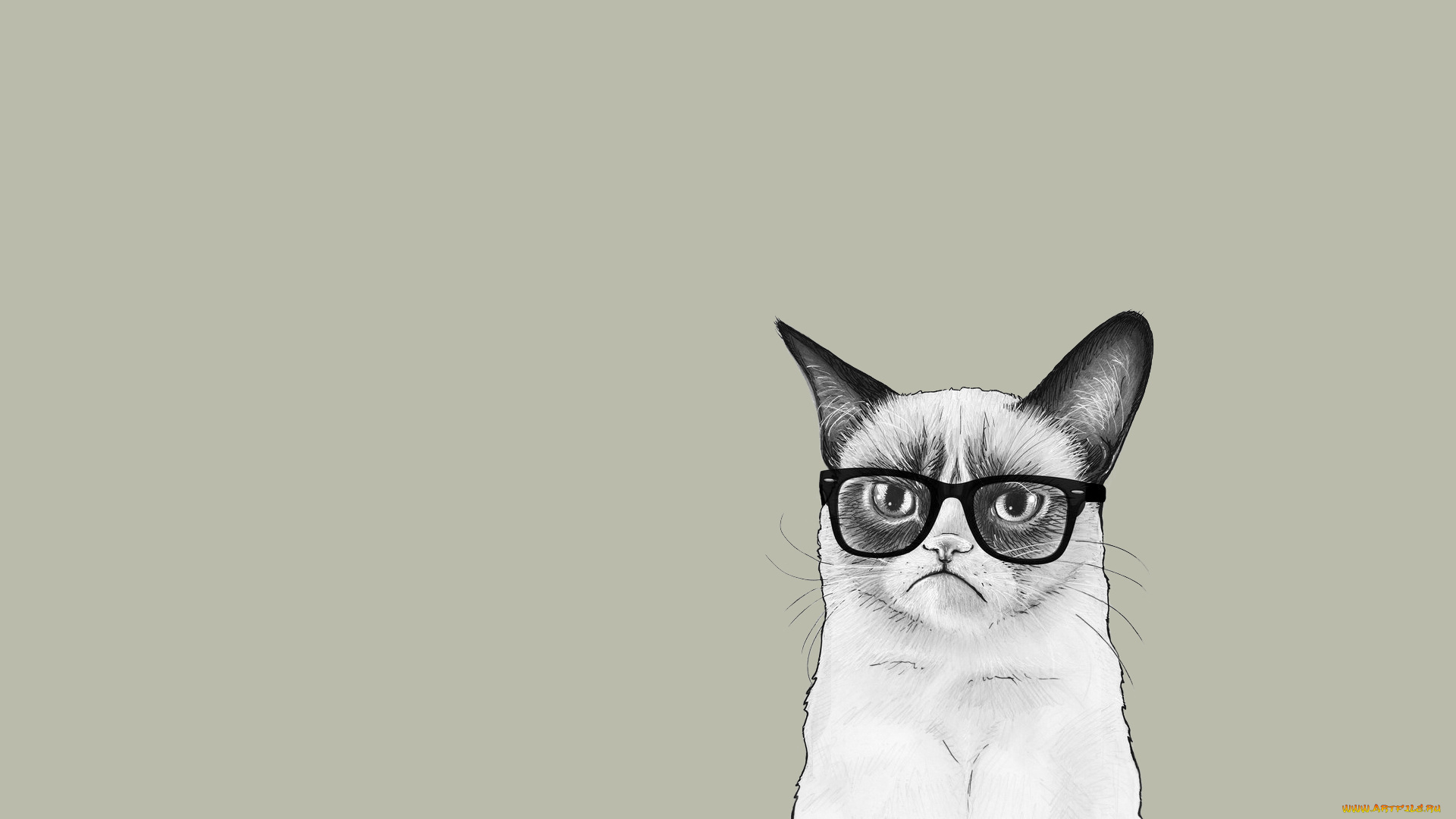 рисованные, минимализм, очки, grumpy, cat, сердитый, кот