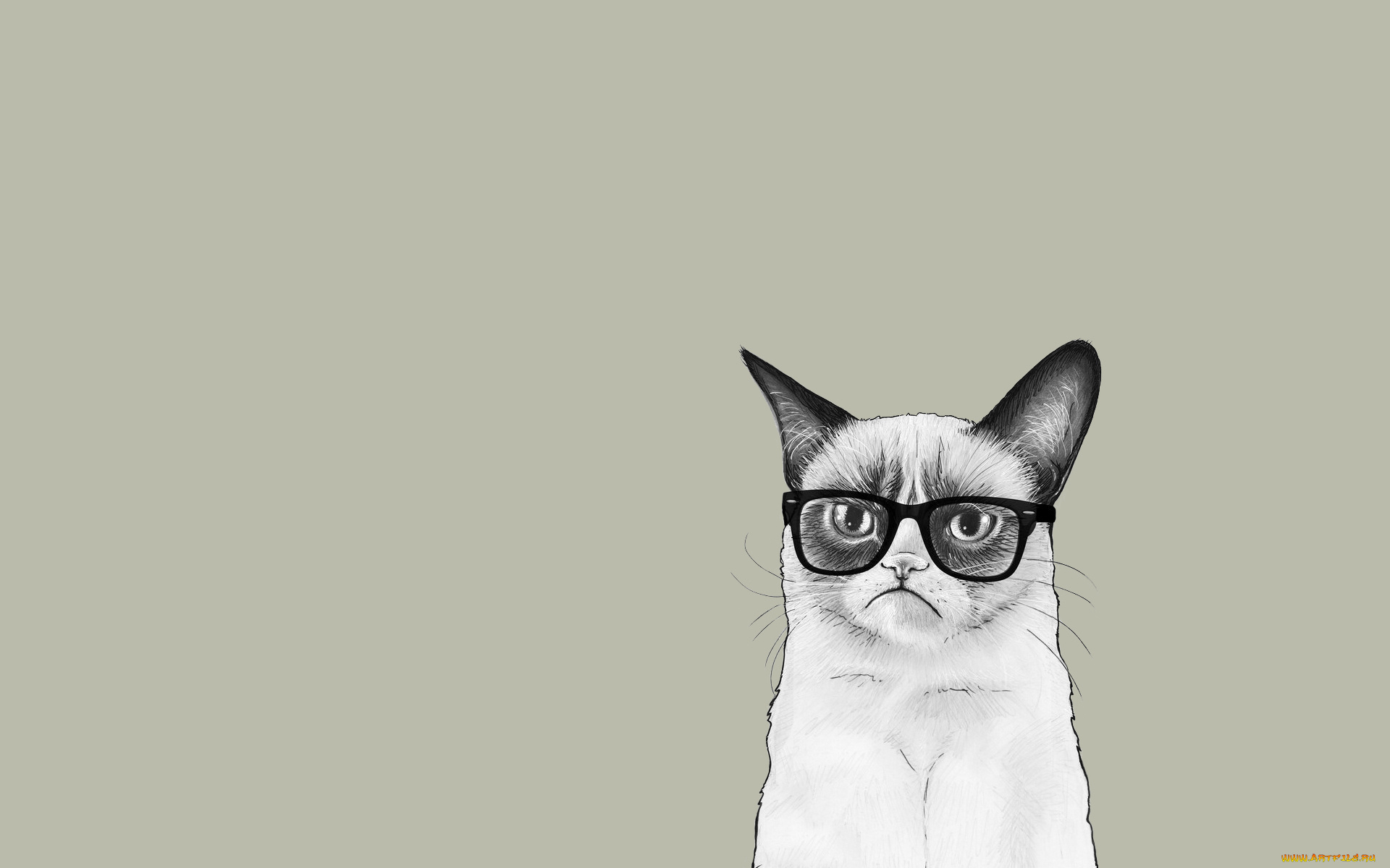рисованные, минимализм, очки, grumpy, cat, сердитый, кот