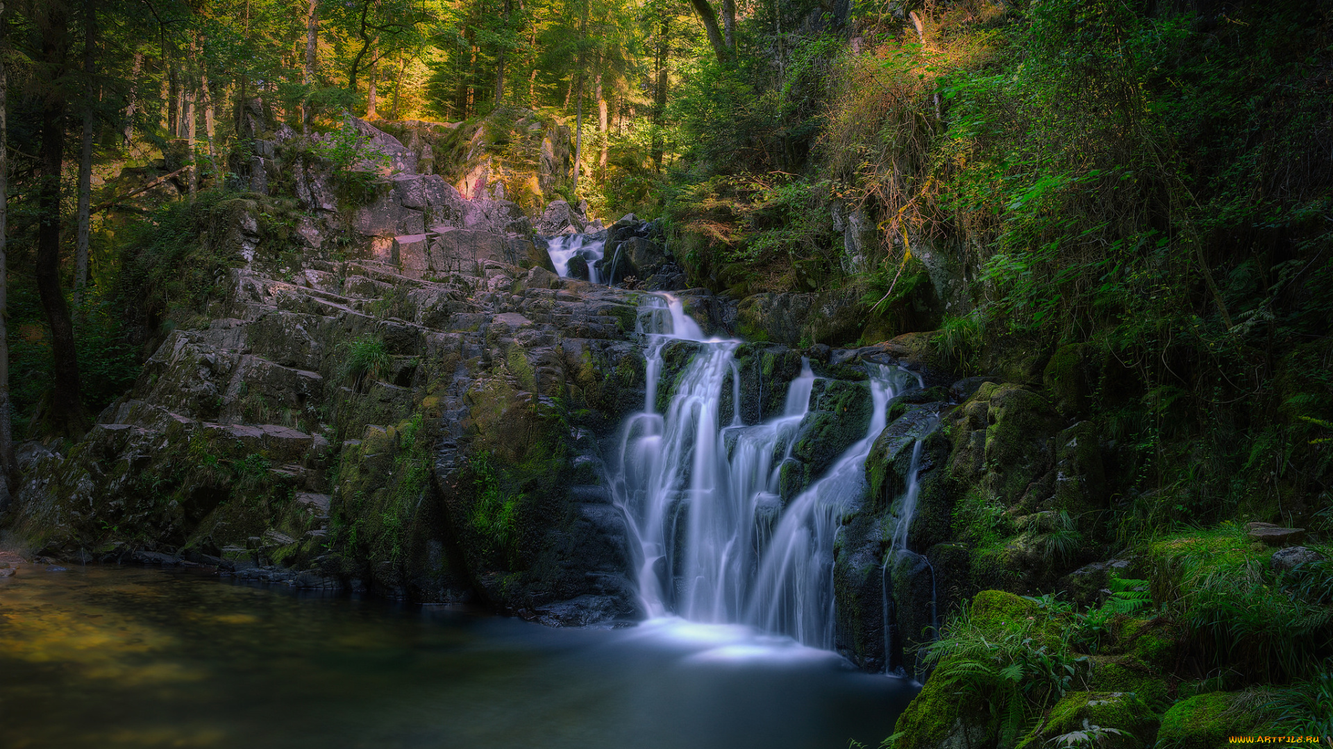 природа, водопады, лес, водопад, река