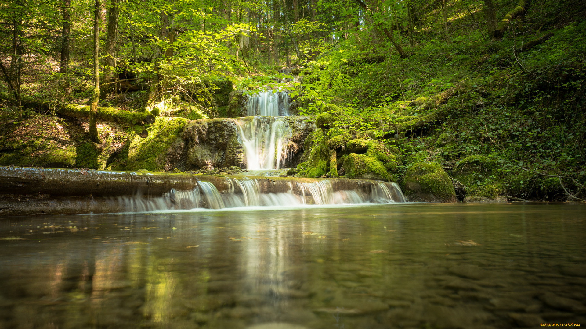 природа, водопады, лес, водопад, река