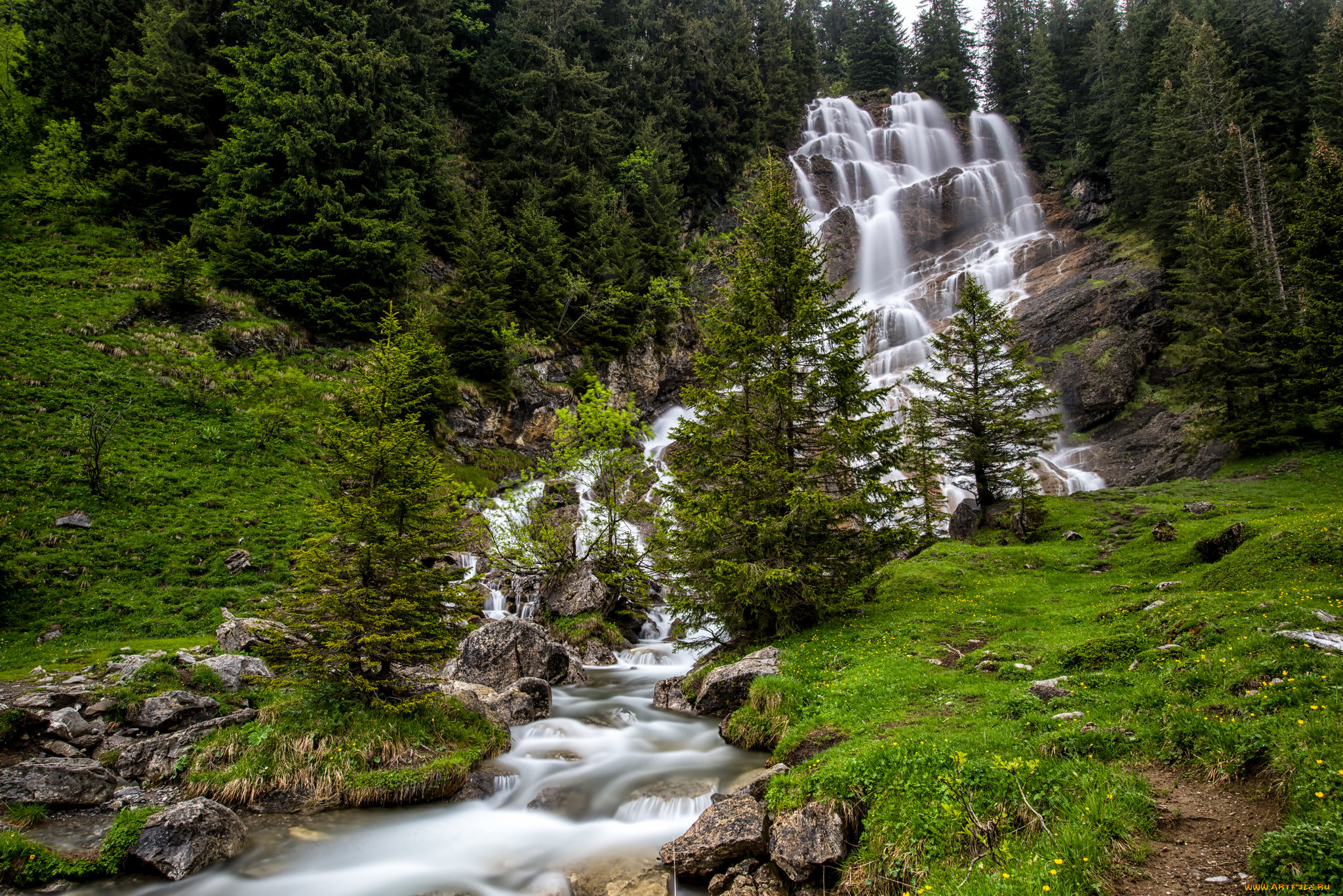 природа, водопады, река, водопад, лес