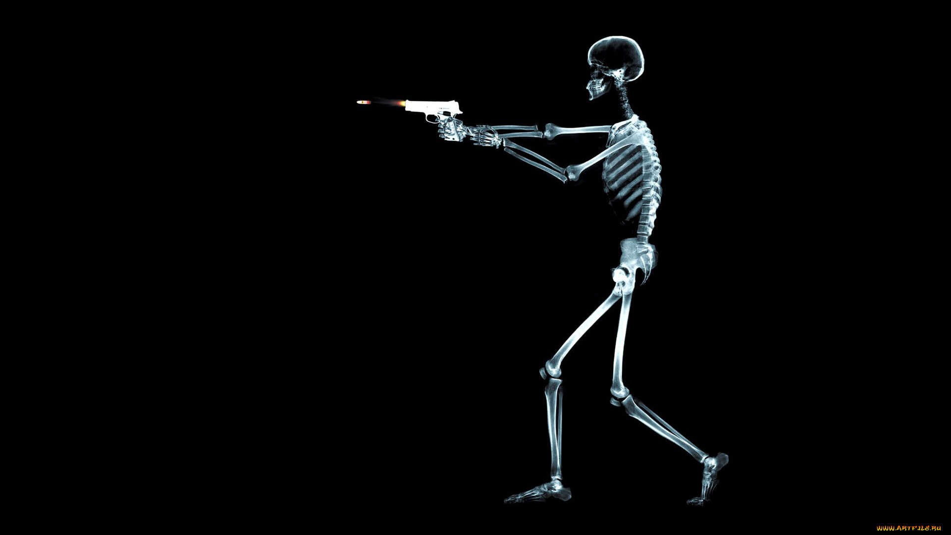 разное, кости, , рентген, скелет, пистолет, пуля, выстрел