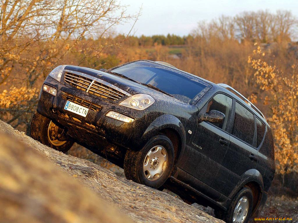 ssangyong, автомобили, ssang, yong