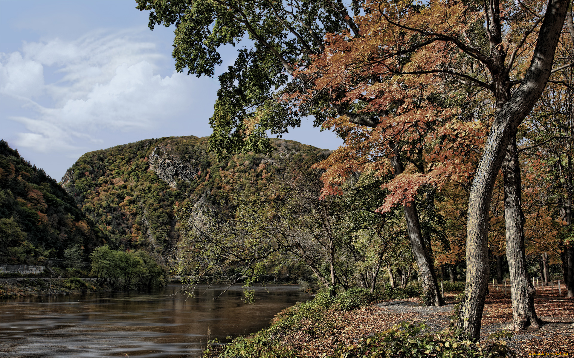 autumns, colors, природа, реки, озера, деревья, горы, река, леса