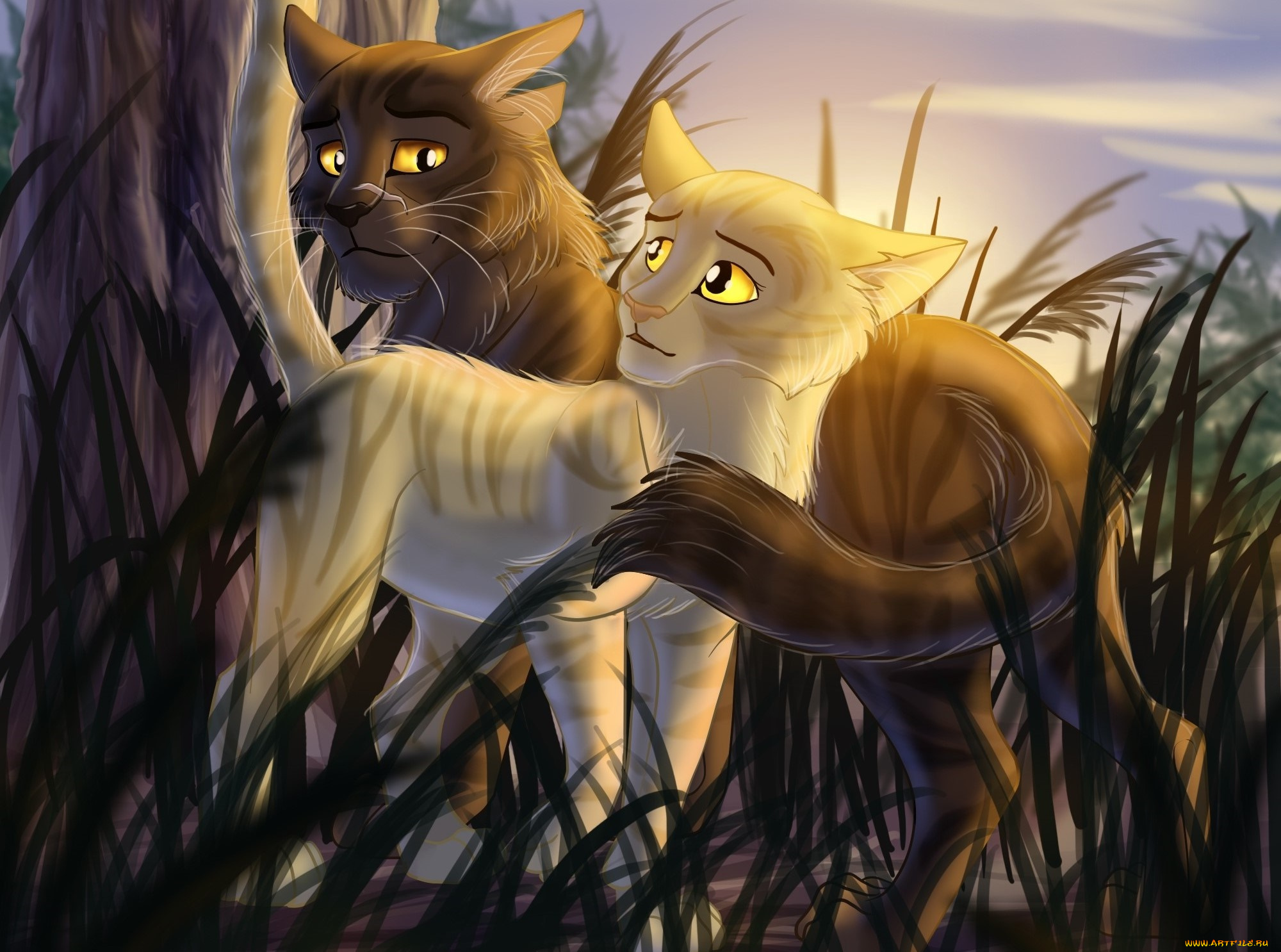 Коты Воители Звездоцап и Саша и Златошейка