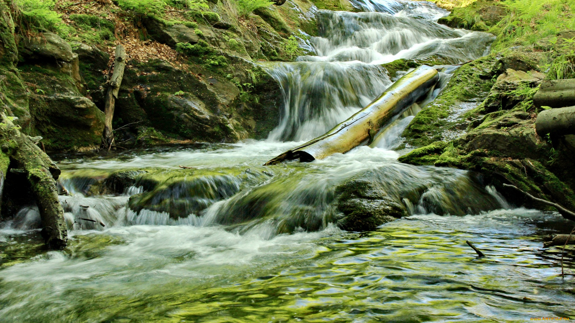 Чехия, природа, водопады, водоем, камни, бревно