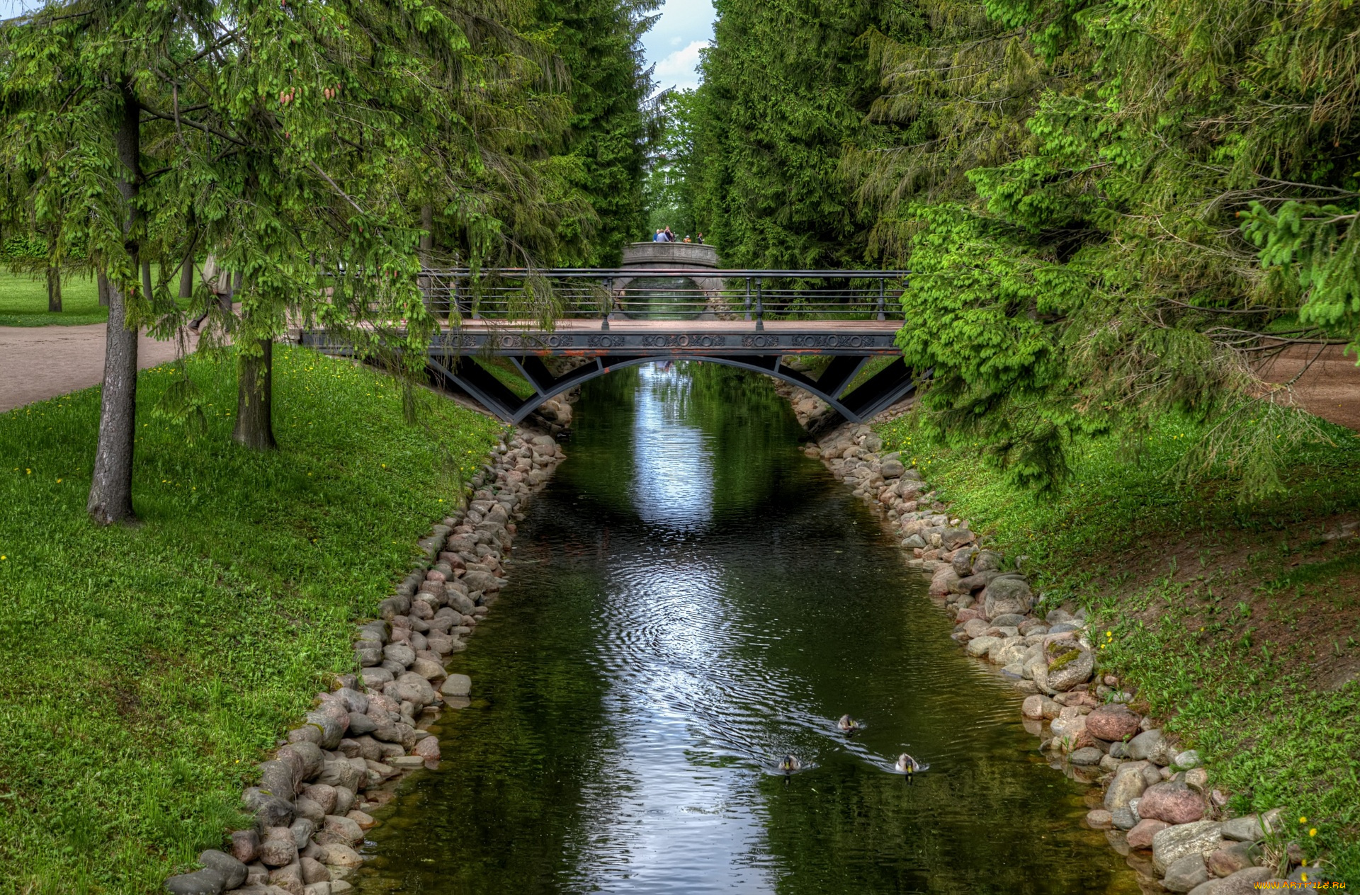 с-петербург, природа, парк, водоем, мост, трава, деревья