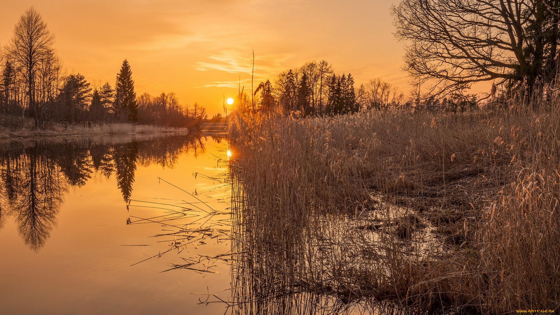 природа, реки, озера, простор