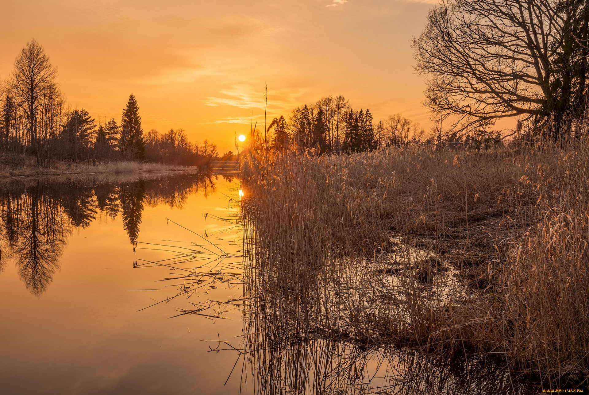 природа, реки, озера, простор